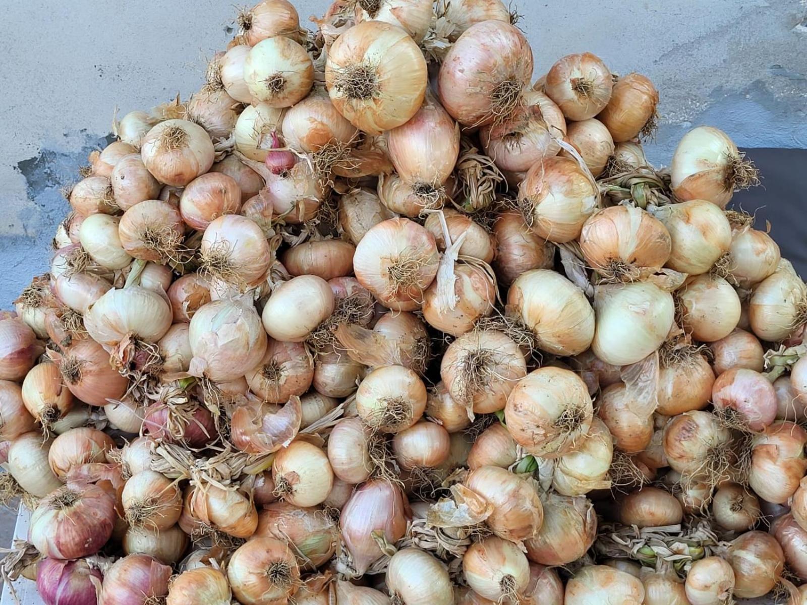 Agriturismo Gli Antichi Sapori Di Anna Coppola - con stazione di ricarica veicoli elettrici