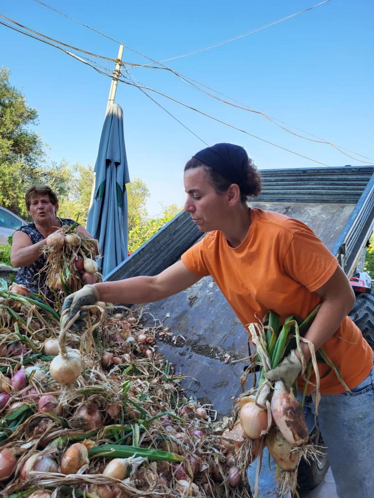 Agriturismo Gli Antichi Sapori Di Anna Coppola - con stazione di ricarica veicoli elettrici