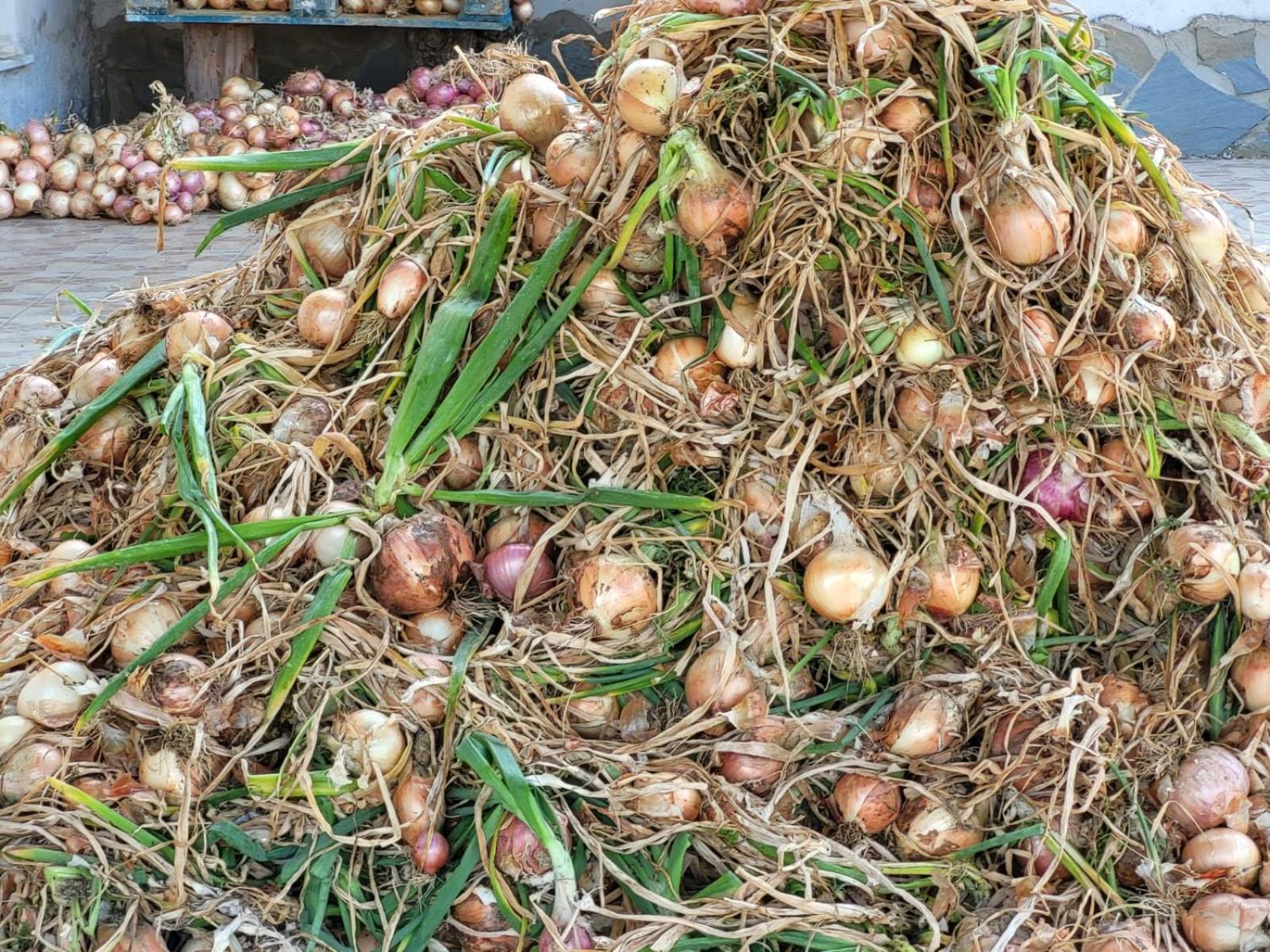 Agriturismo Gli Antichi Sapori Di Anna Coppola - con stazione di ricarica veicoli elettrici