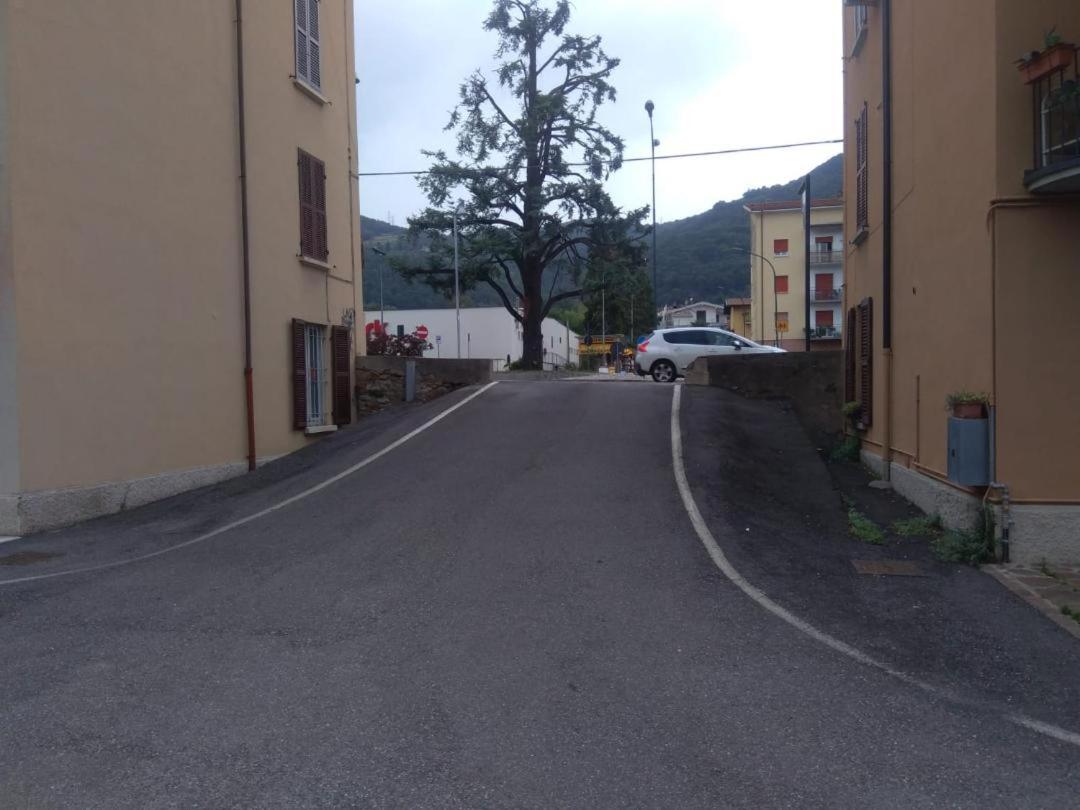 Photo 38