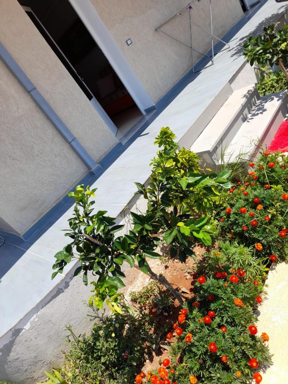 Rey Garden Villa