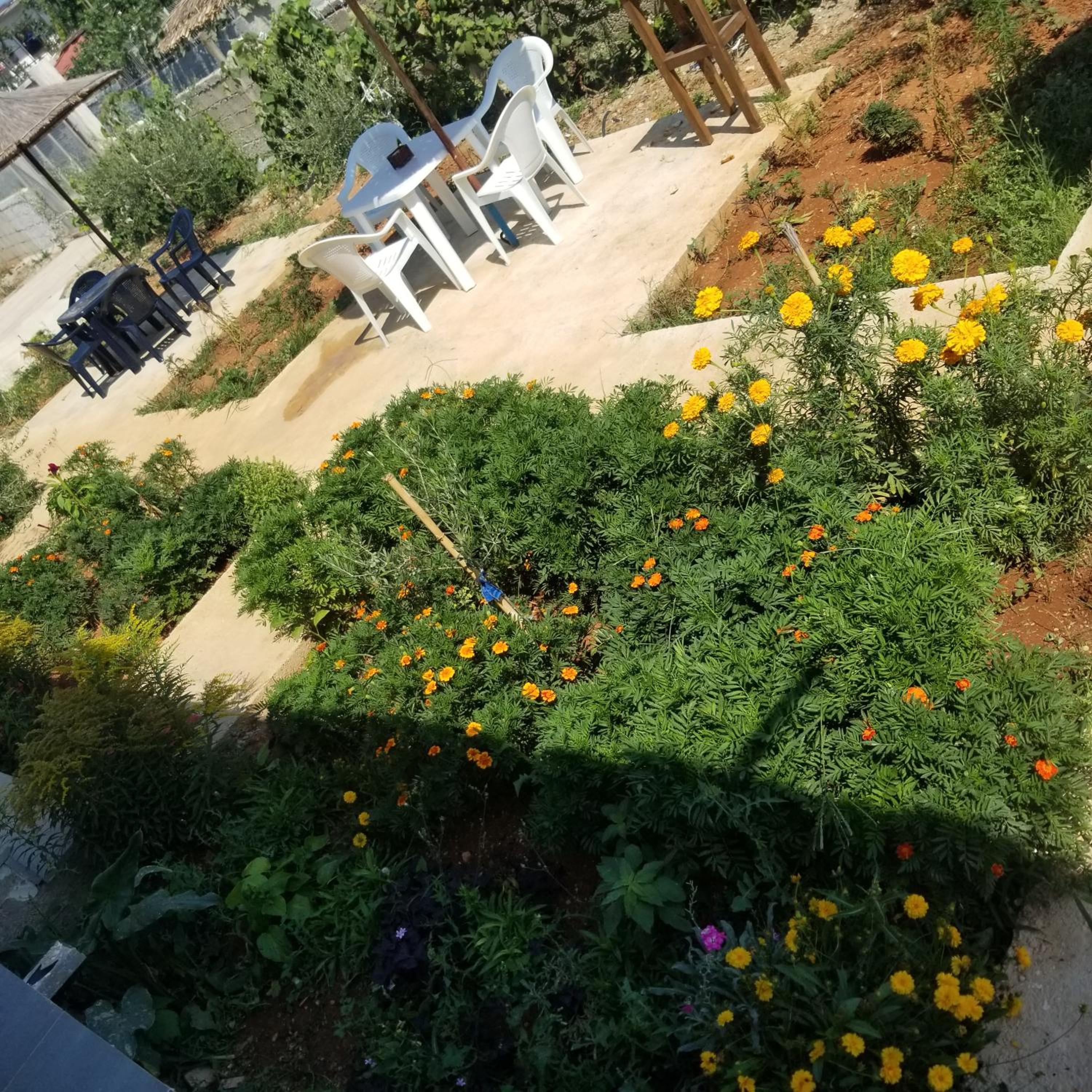 Rey Garden Villa