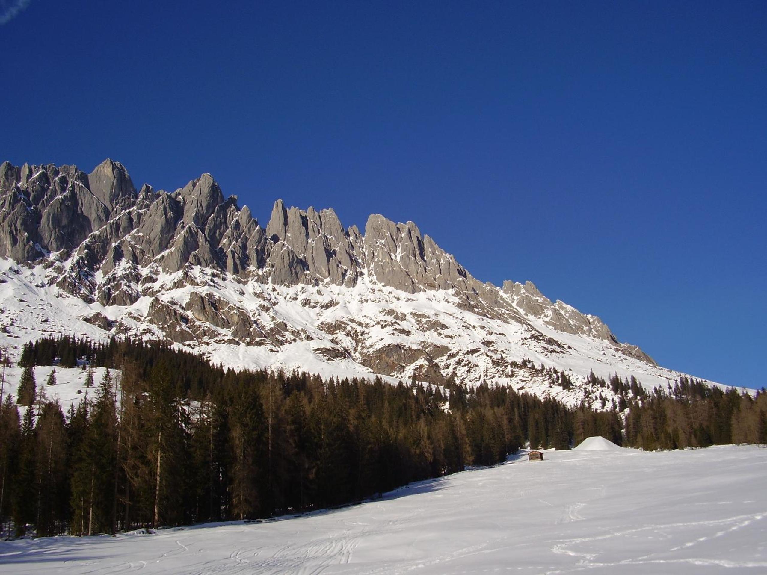 Appartementhaus Hochkönig 1 - Alpenrose