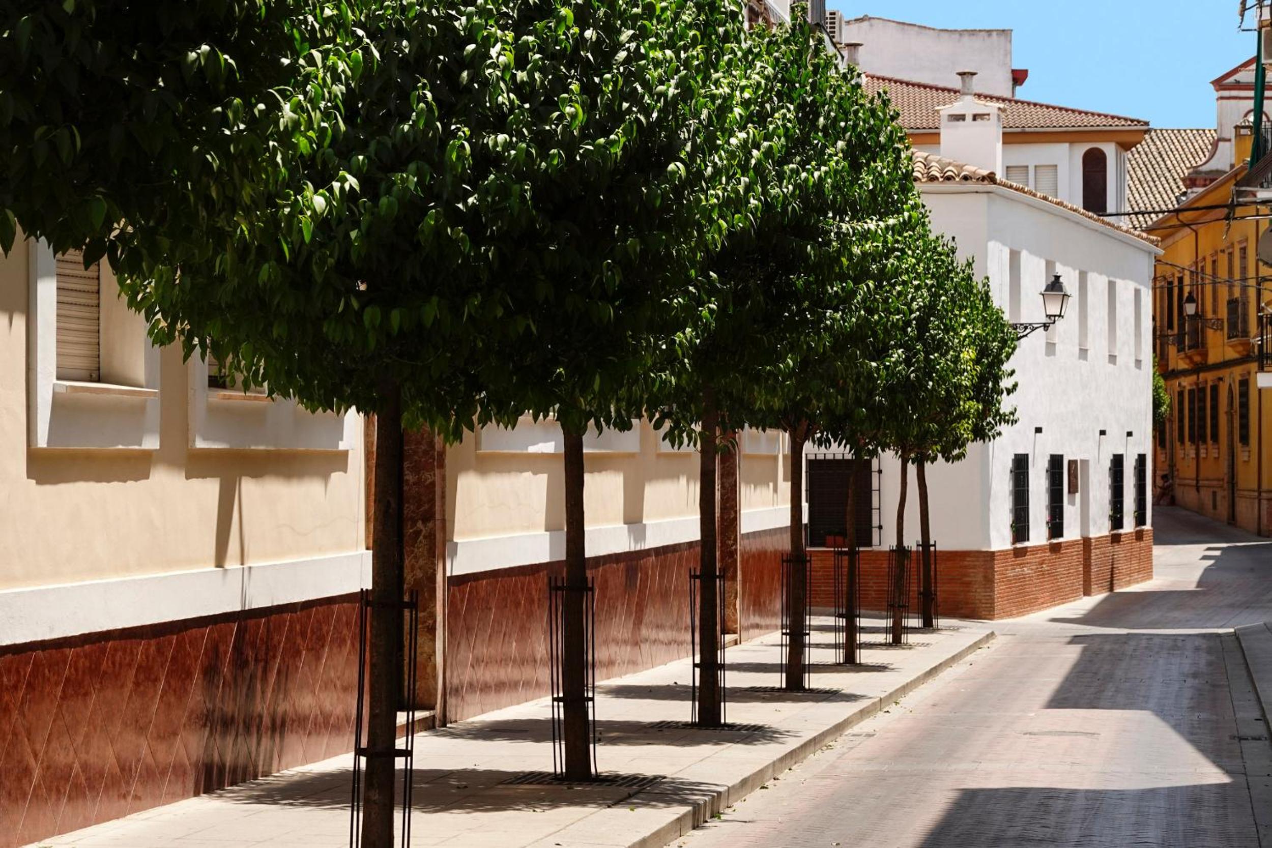 Apartamentos Casa del Arco de 2 a 6 personas