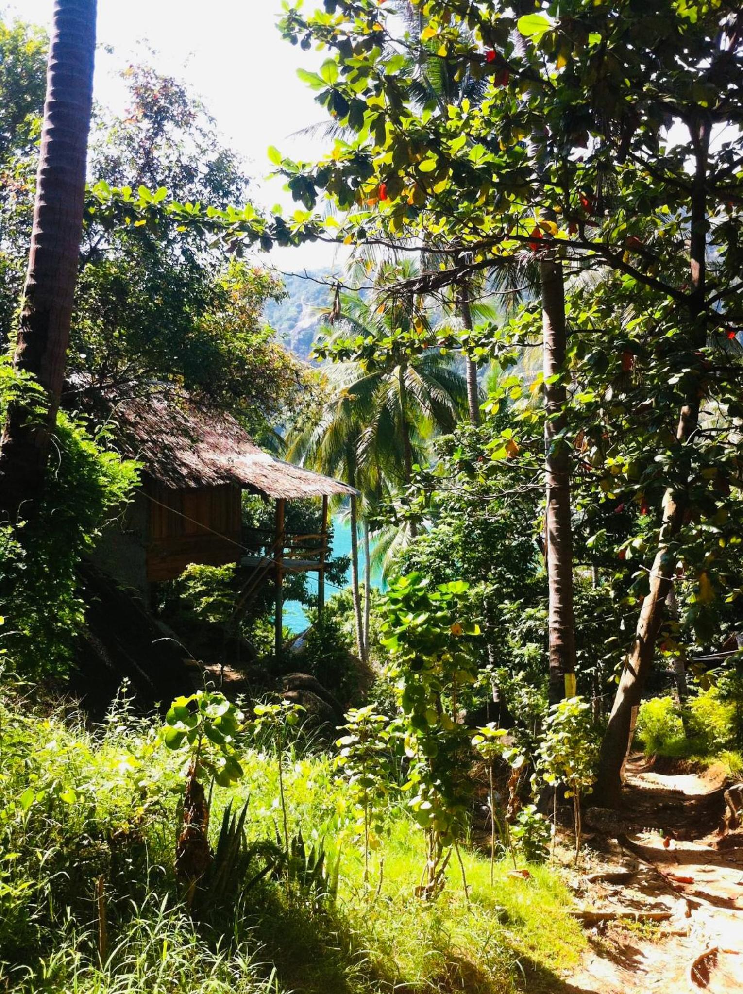garden