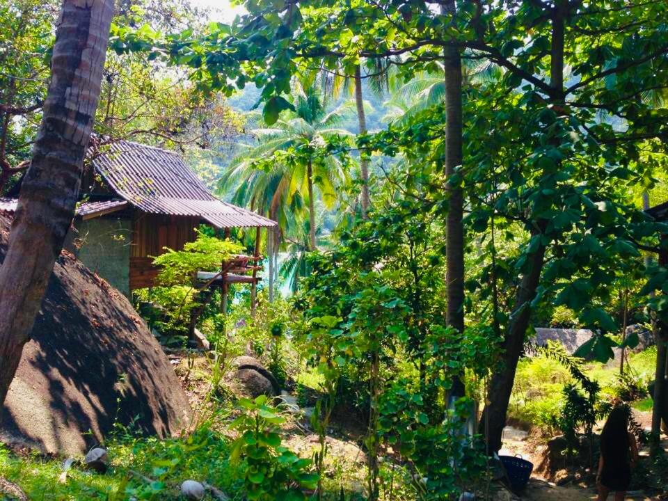 garden