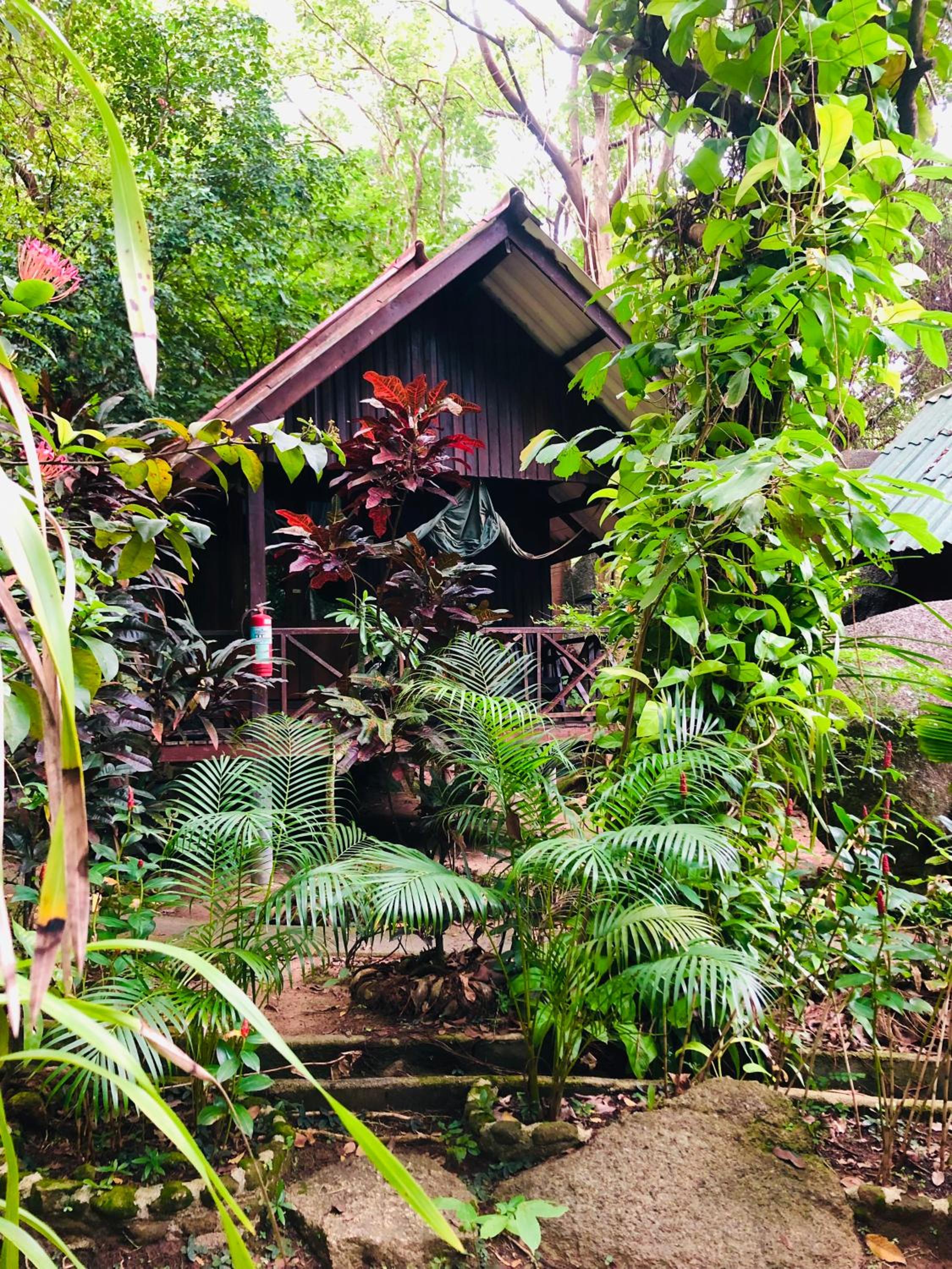 garden
