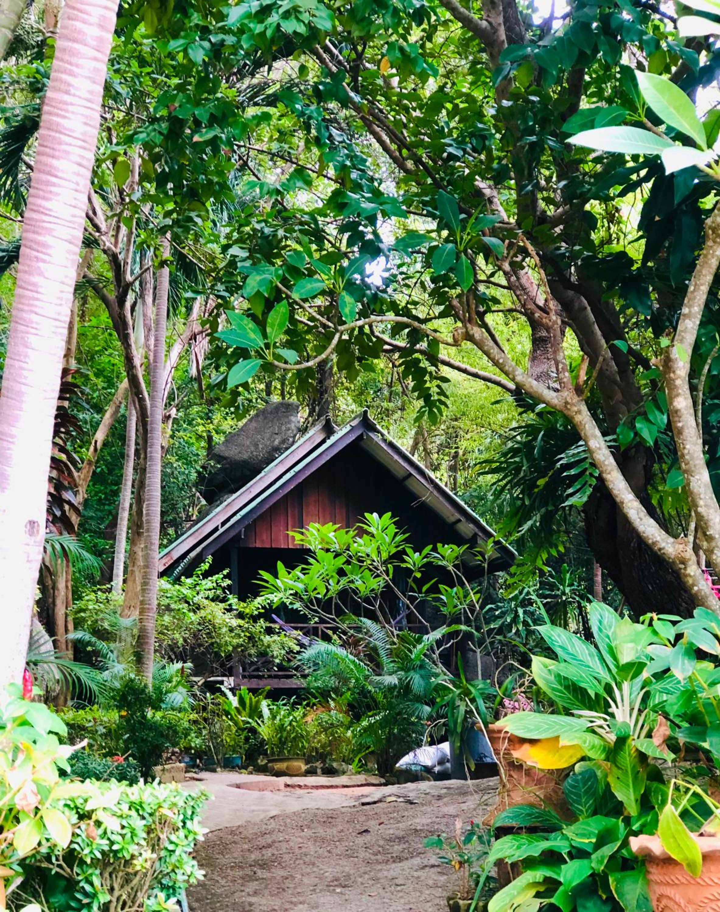 garden
