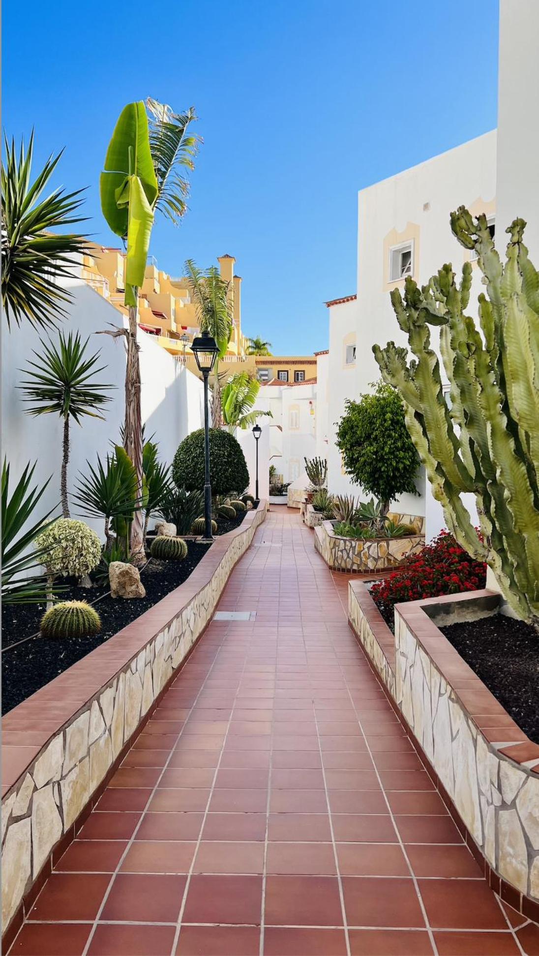 ENCHANTING HOUSE SOUTH TENERIFE, Sea View