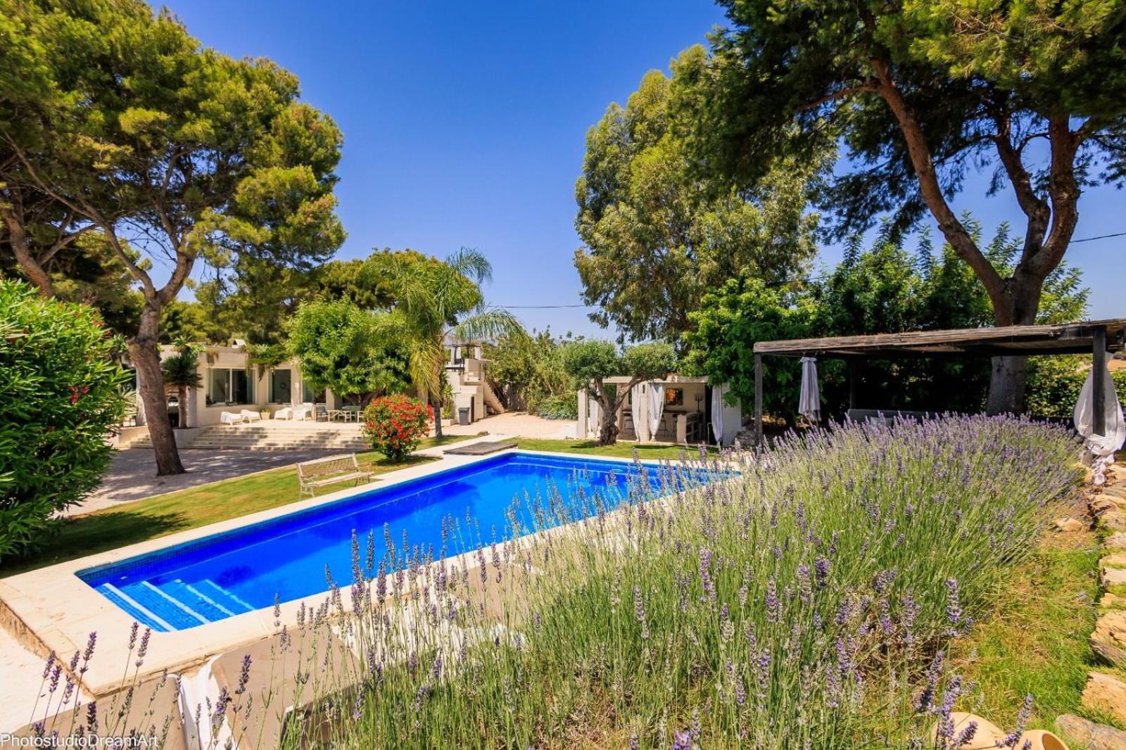 MIMAR ALTEA VILLA l photo 3