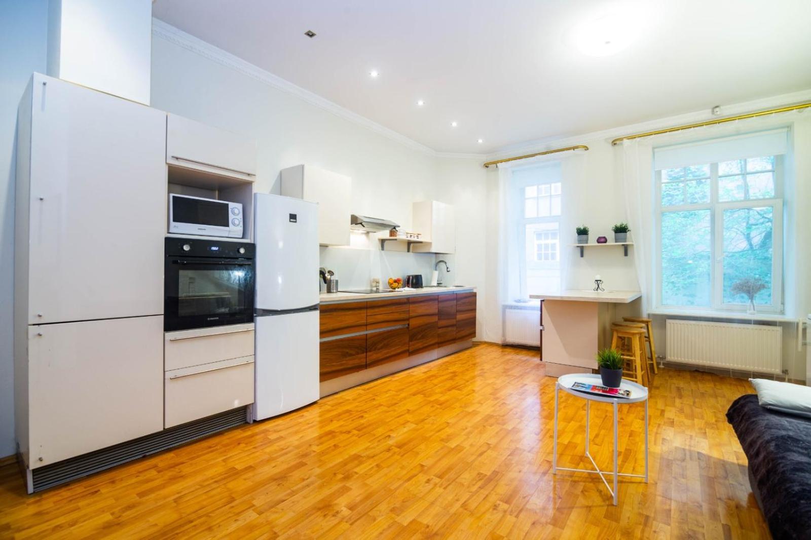 Spacious apartment in the center of Riga view 4