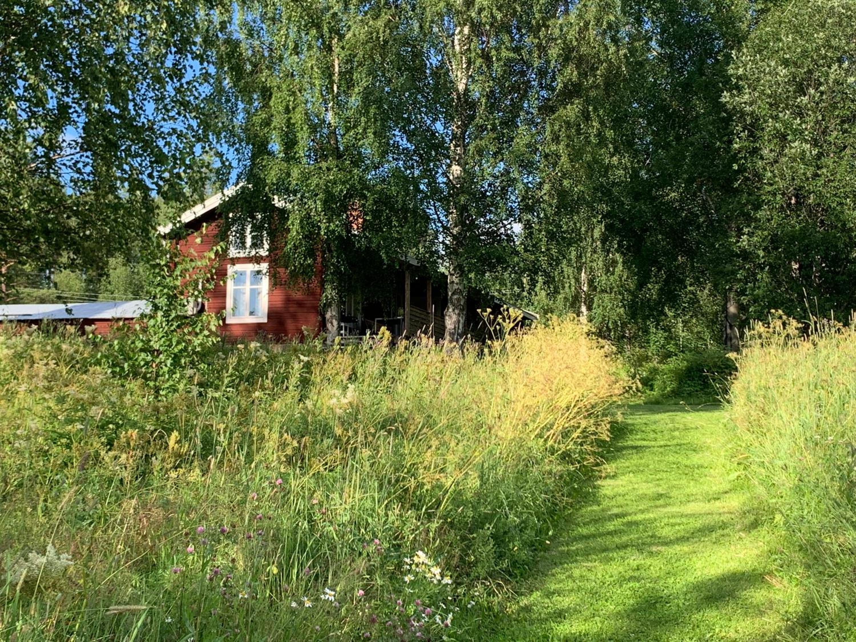 Bogärdan, cozy cabin by the Luleå River view 4