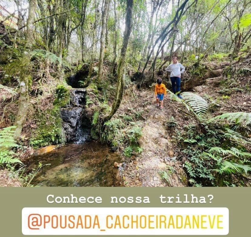 Floresta Secreta- Pousada Cachoeira da Neve