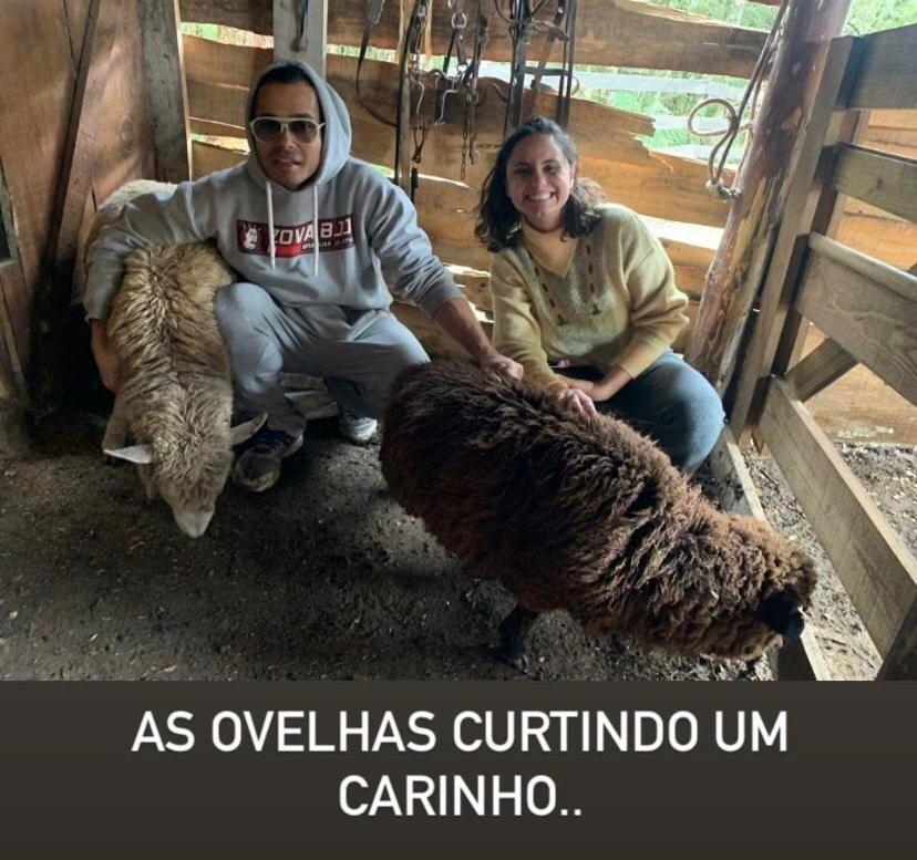 Floresta Secreta- Pousada Cachoeira da Neve