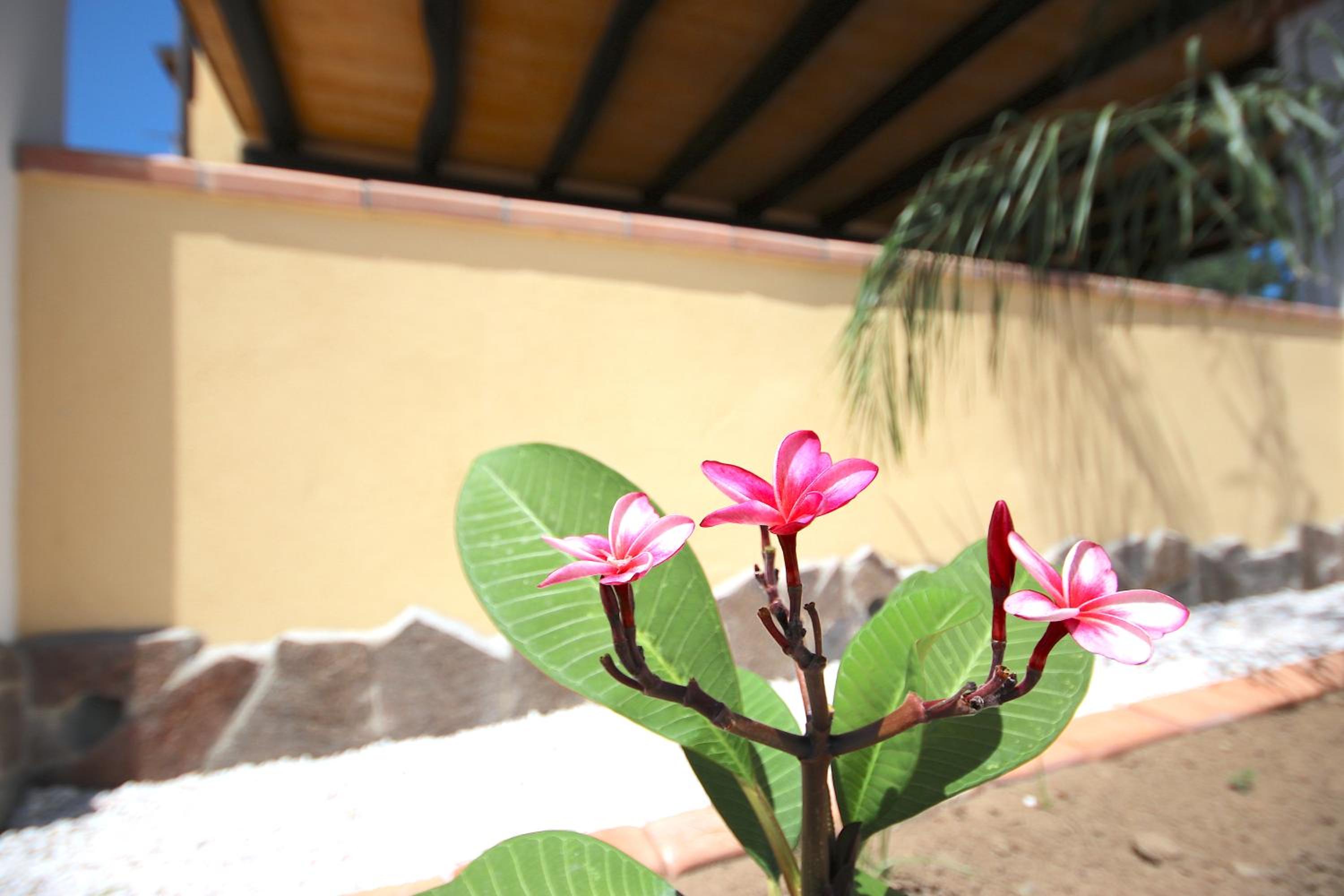 Villa Il Melograno, photo 20
