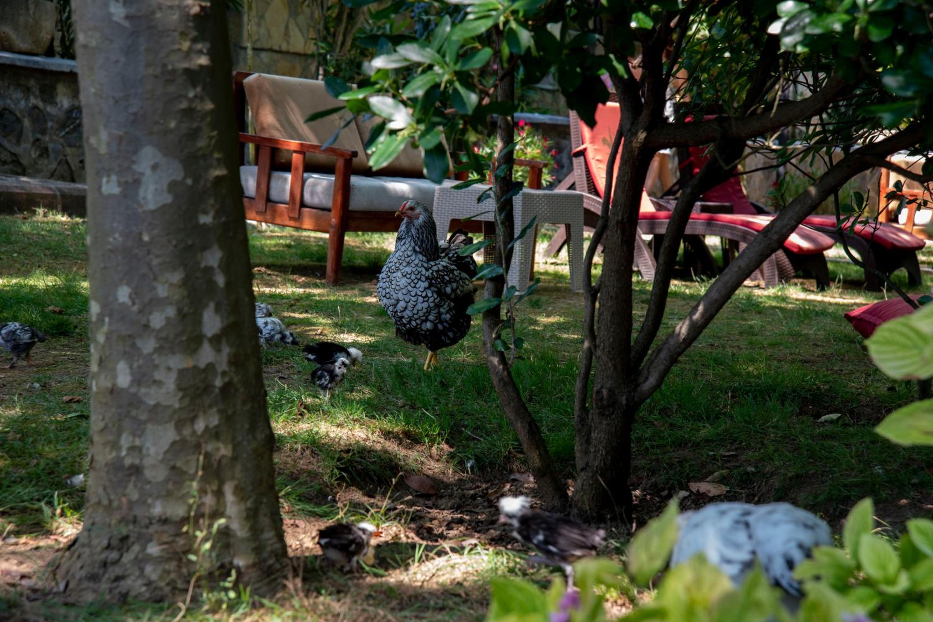 Fener Motel