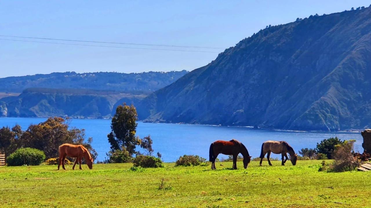 Cabaña en Tunquén con parrilla, fogón, piscina y bosque