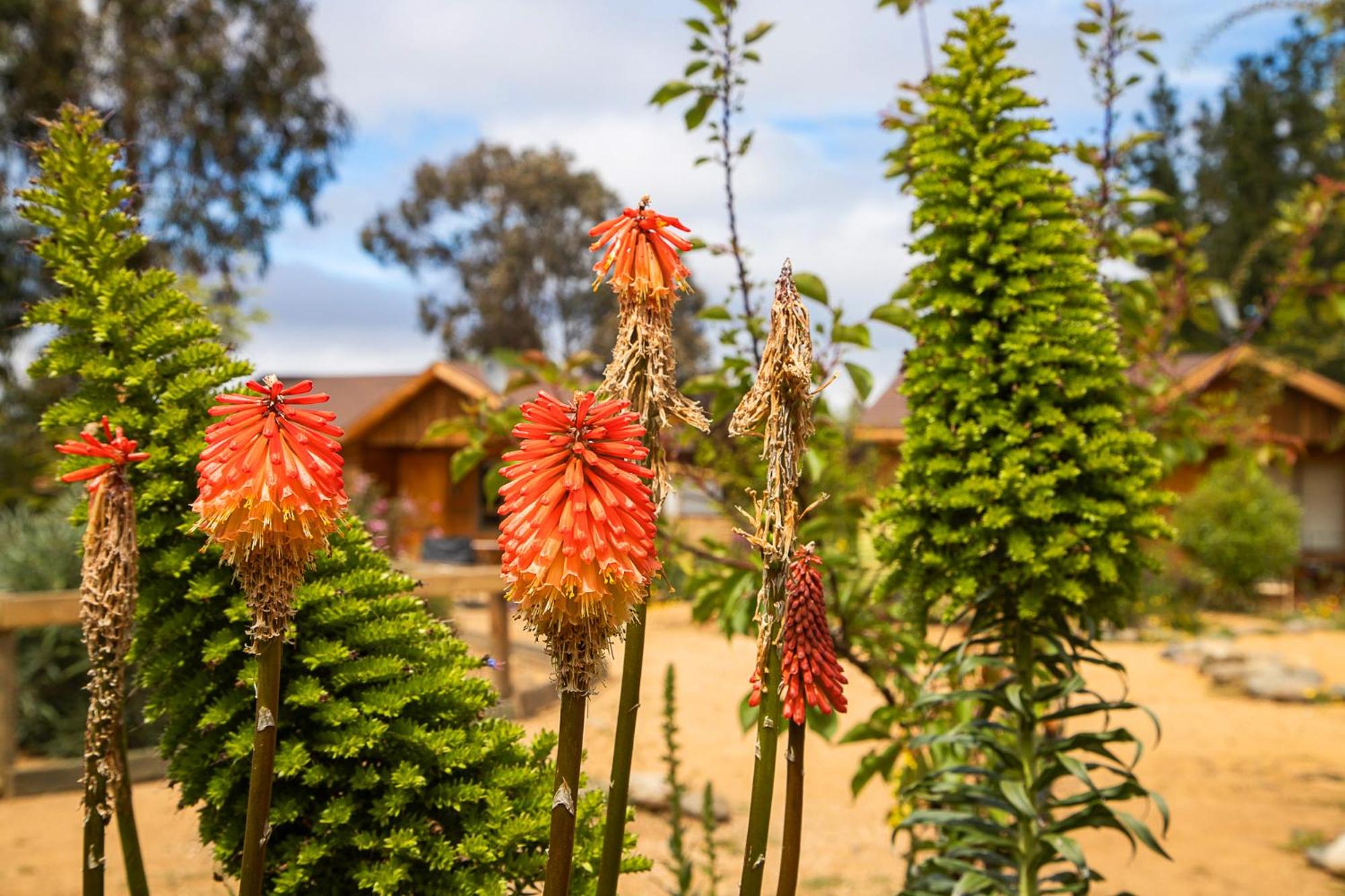 Cabaña en Tunquén con parrilla, fogón, piscina y bosque