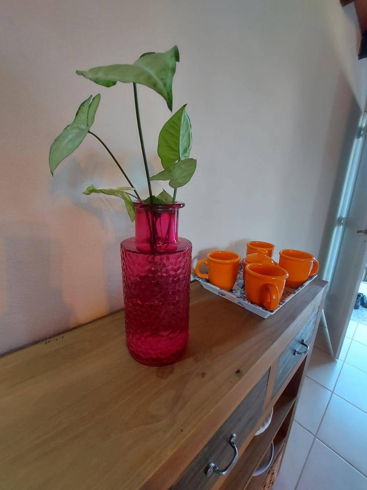 Complejo SARA HOUSE