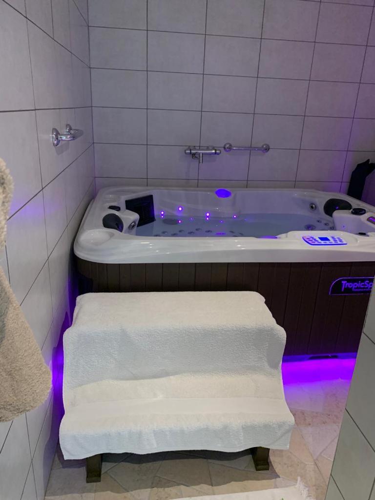 Hotel Appartement Avec Jacuzzi Hammam Sauna Privatise Au Rez De Chaussee Ds Maison A Voglans A 2 Kilometres Du Lac Du Bourget En Savoie Entre Chambery Et Ai