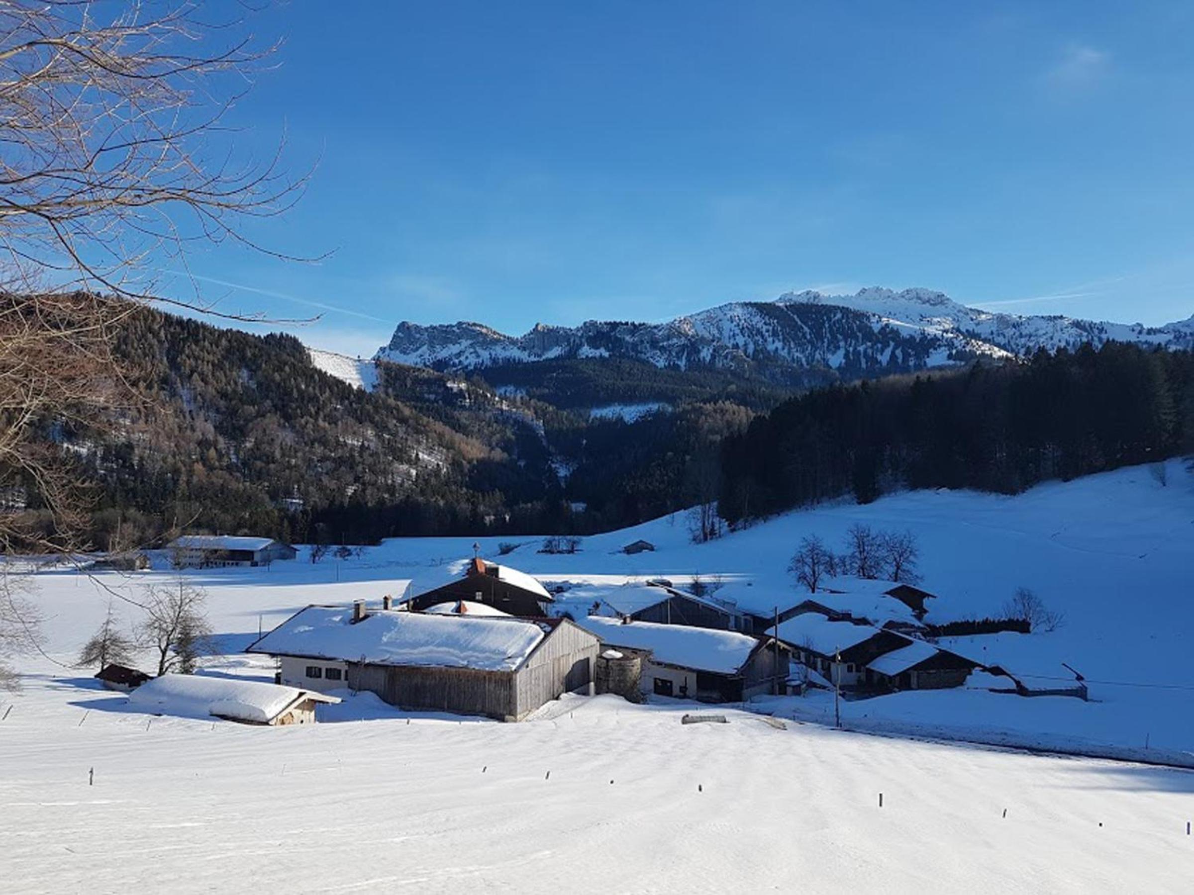Gschwendtnerhof App10 KrausW view 3