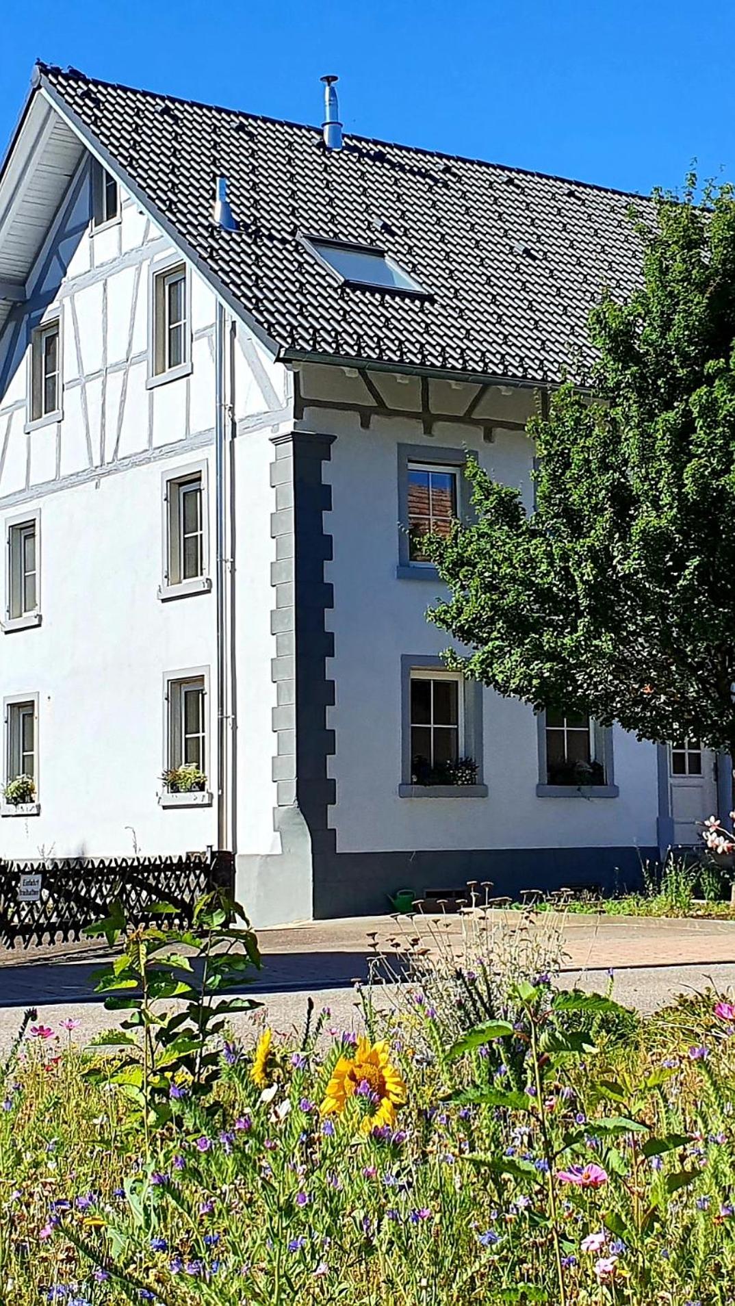 Apartment Kerbholz - zwischen Südschwarzwald und Schweiz