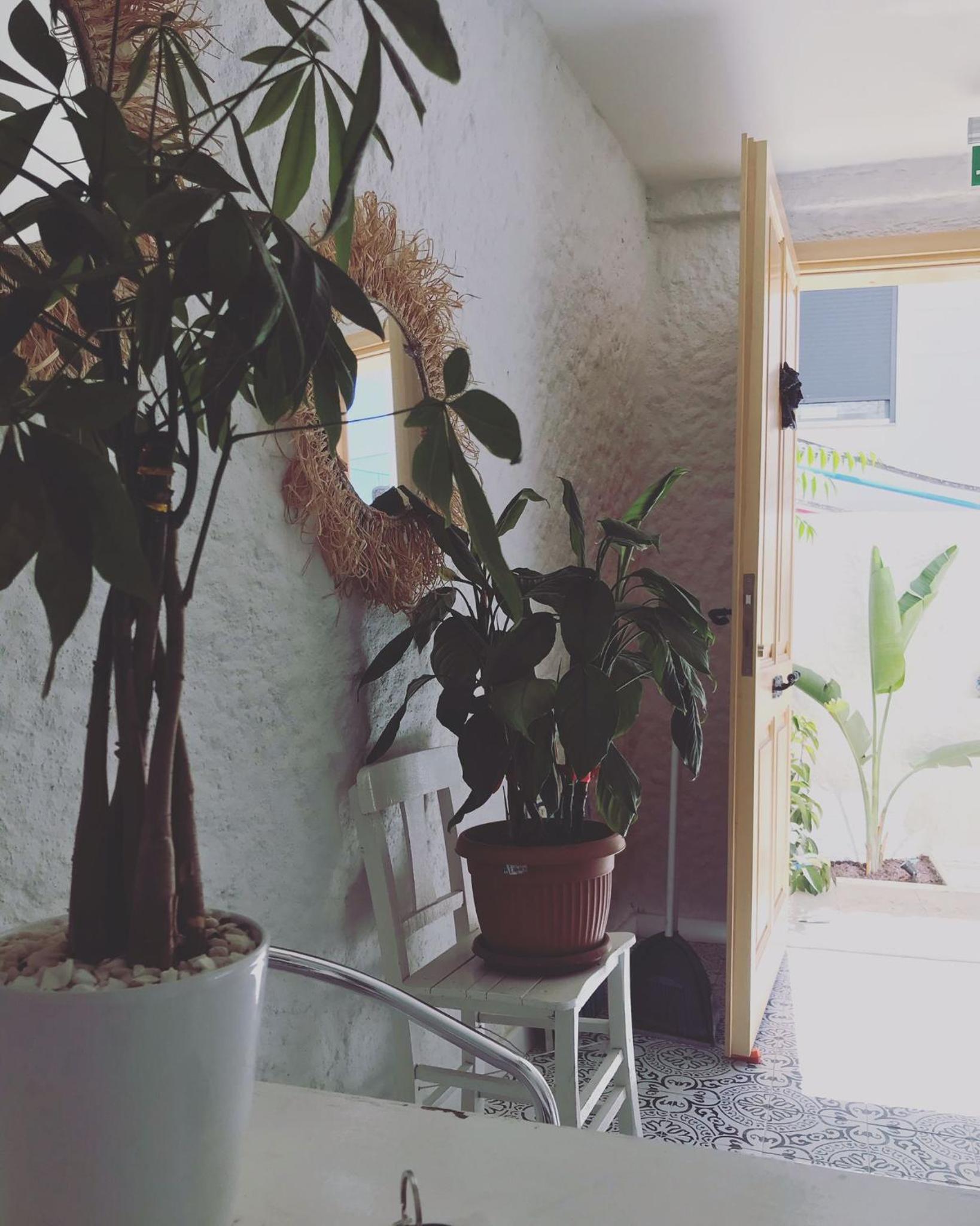 Eva Otel Çeşme - Image 21