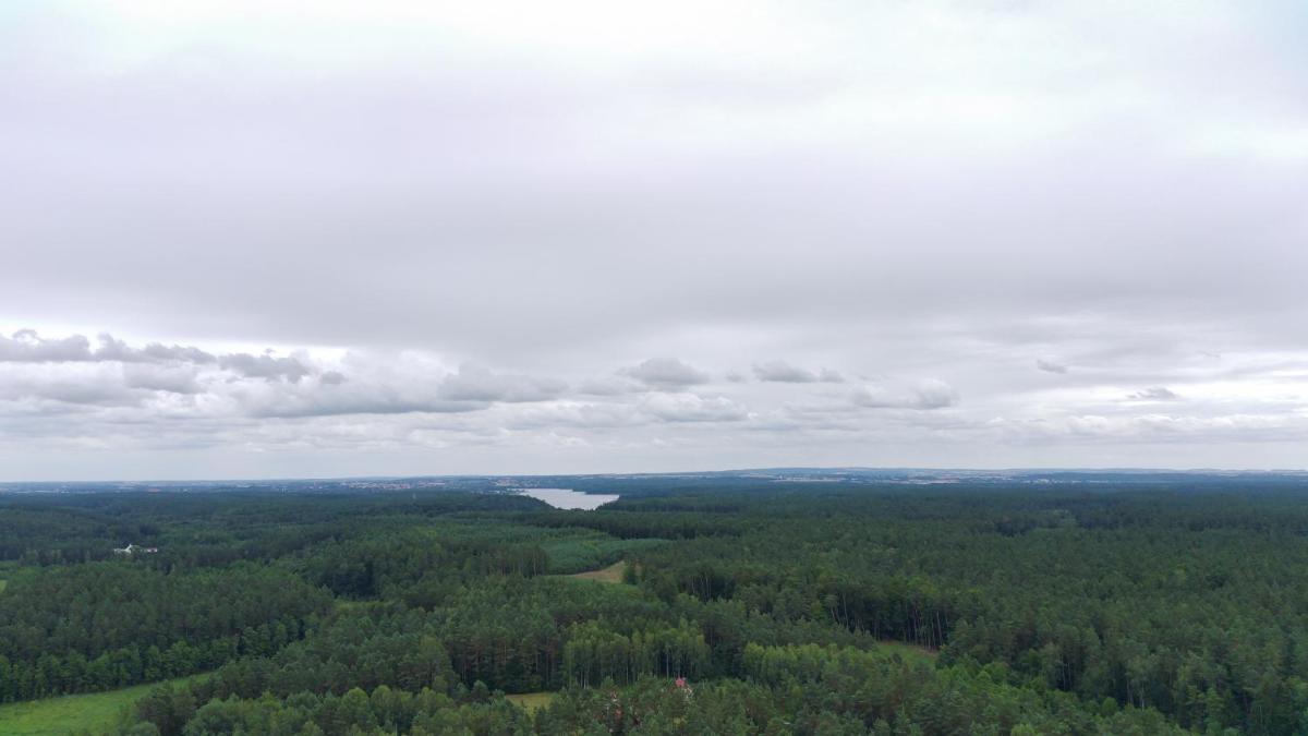 Photo 51