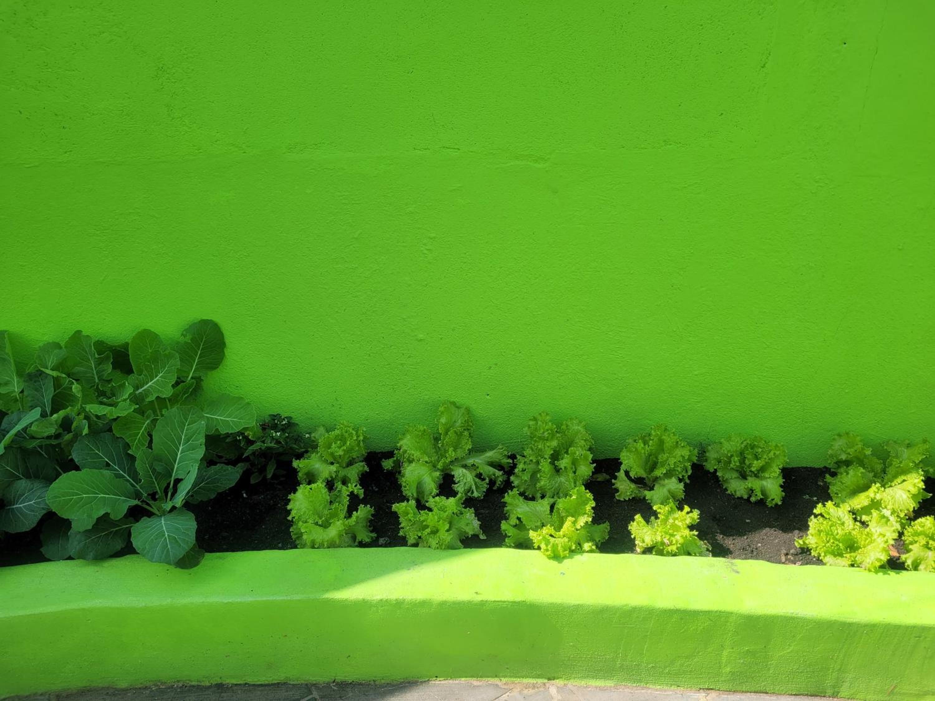 Pousada do sossego mar e verde 1,2 e 3