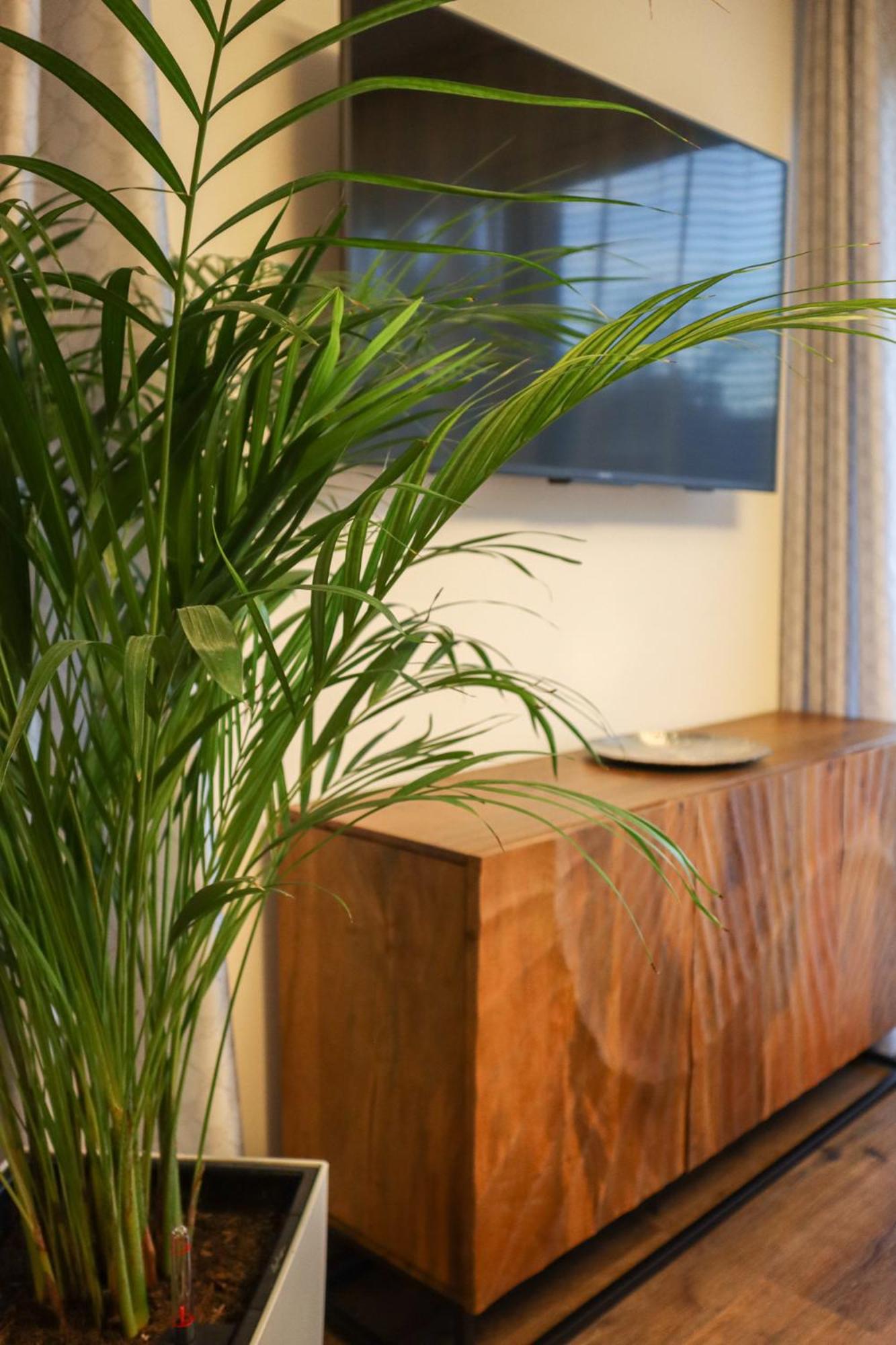 Living8-Appartements