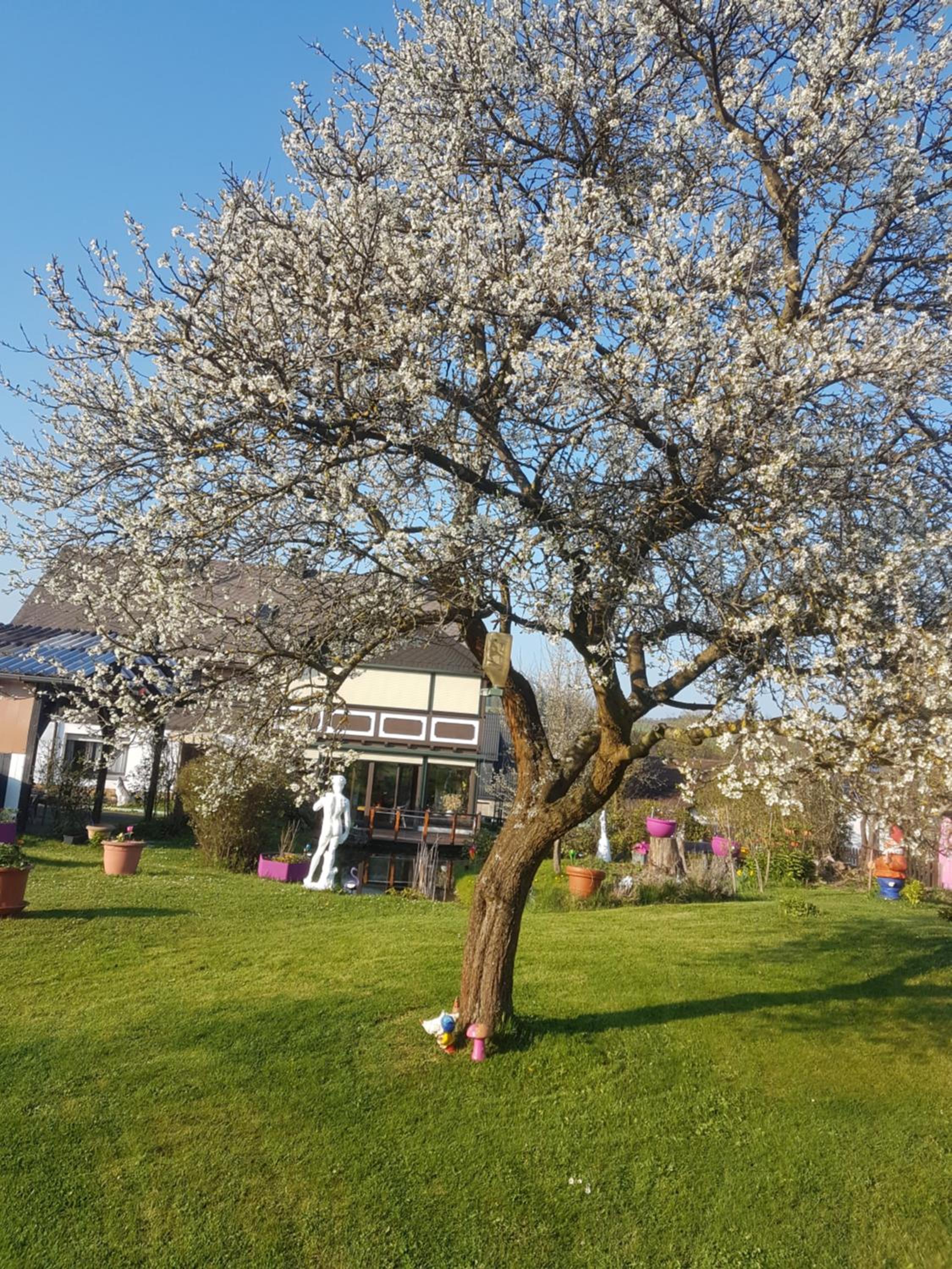 Casa Natur
