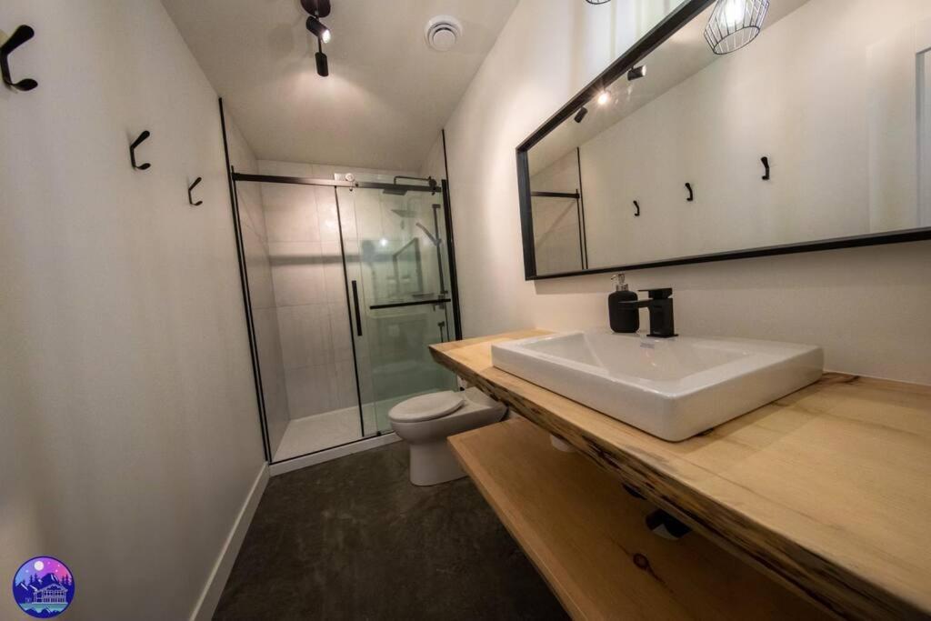 Chalet Forestria - SPA- Billard- Ski view 5