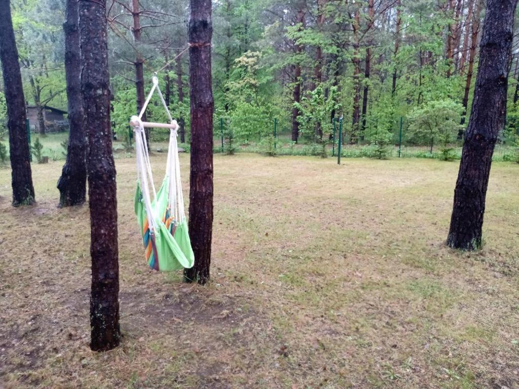forest-house lt view 2