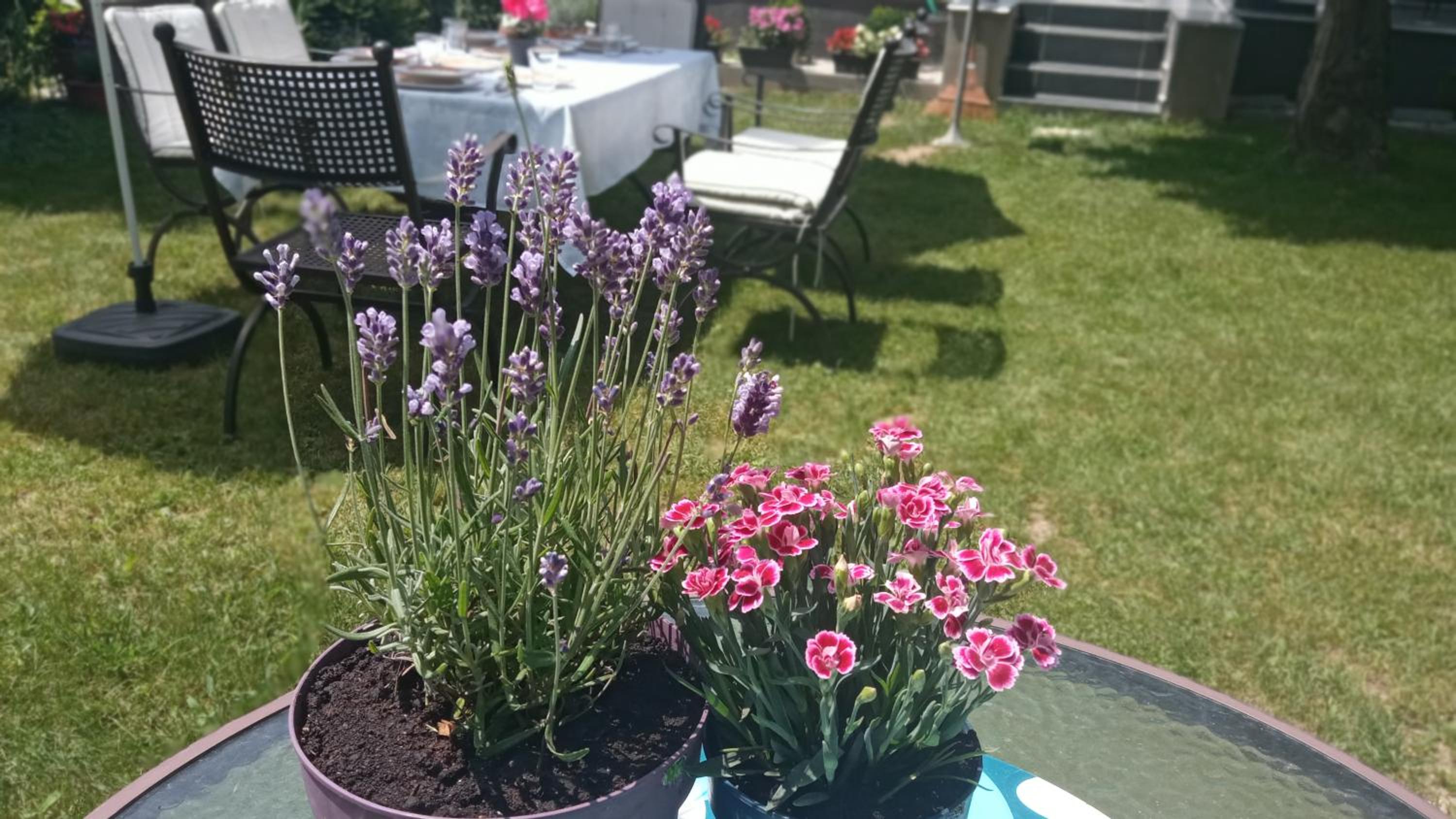 ART INN APARTMANHÁZ BALATON-GYENESDIÁS