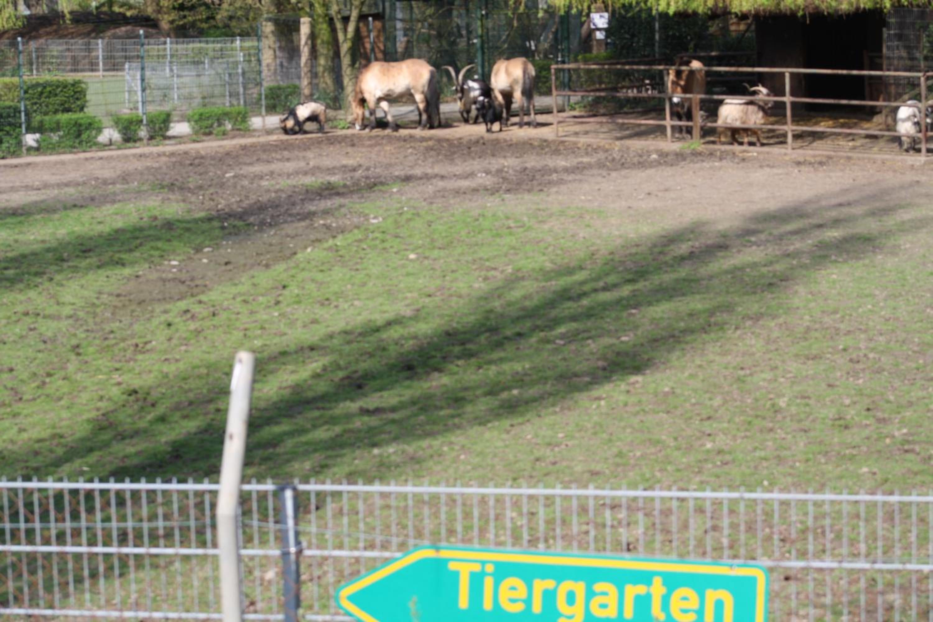 Ferienwohnung Peerenboomshof
