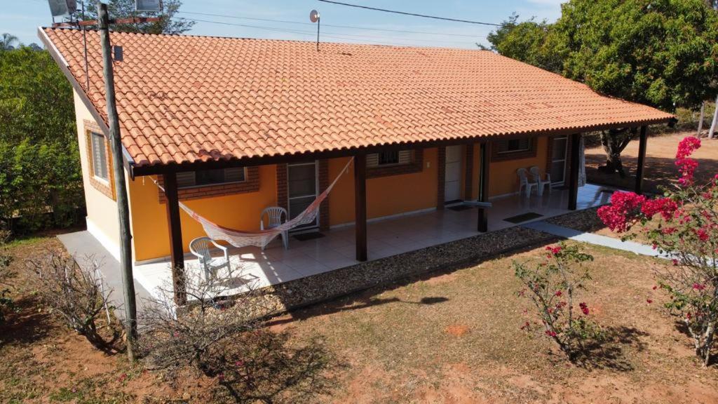 Família Busca-pé