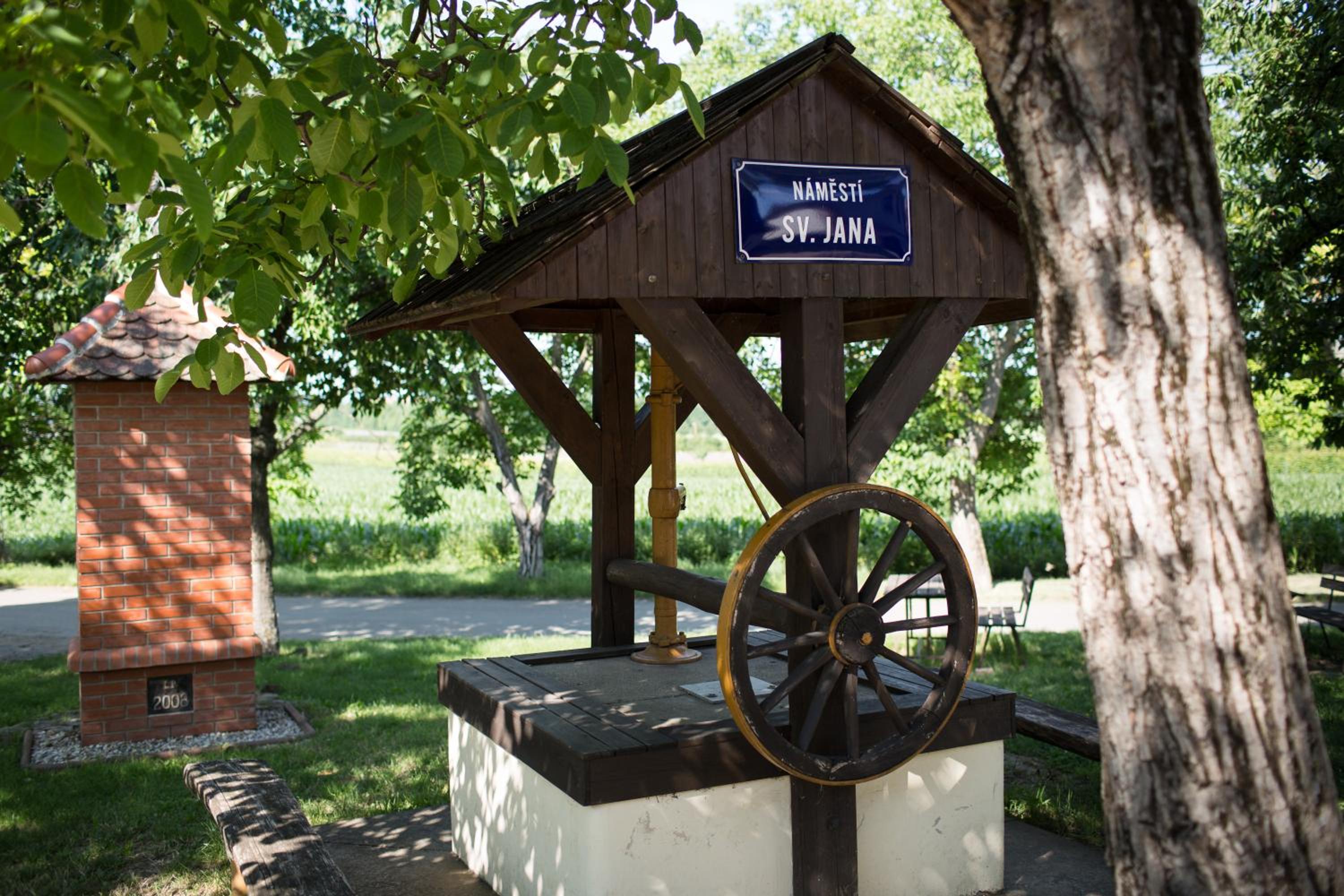 Photo 15