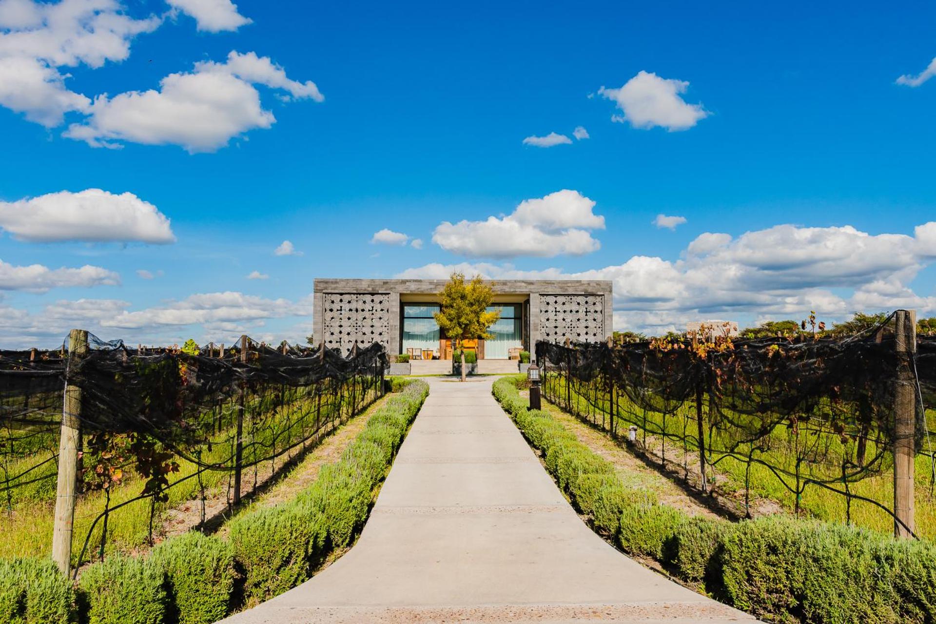 Hotel Casa Raíces Hotel Luxury & Viñedo - Image 1
