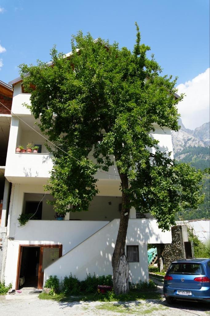 Guesthouse Skender Selimaj