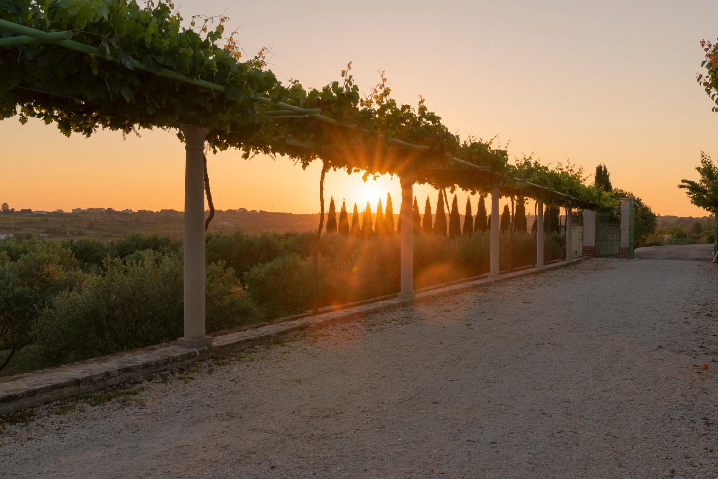 Villa Albina & Domenica
