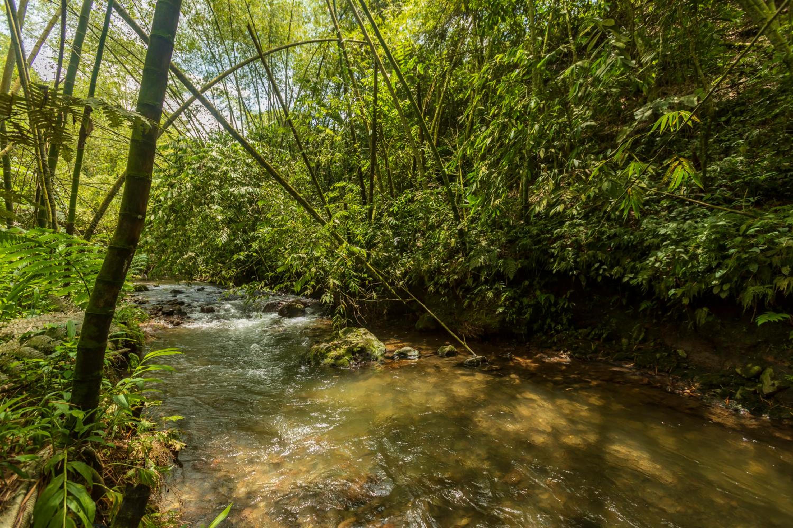 Alojamiento Rural Finca El Rubí - Eje Cafetero