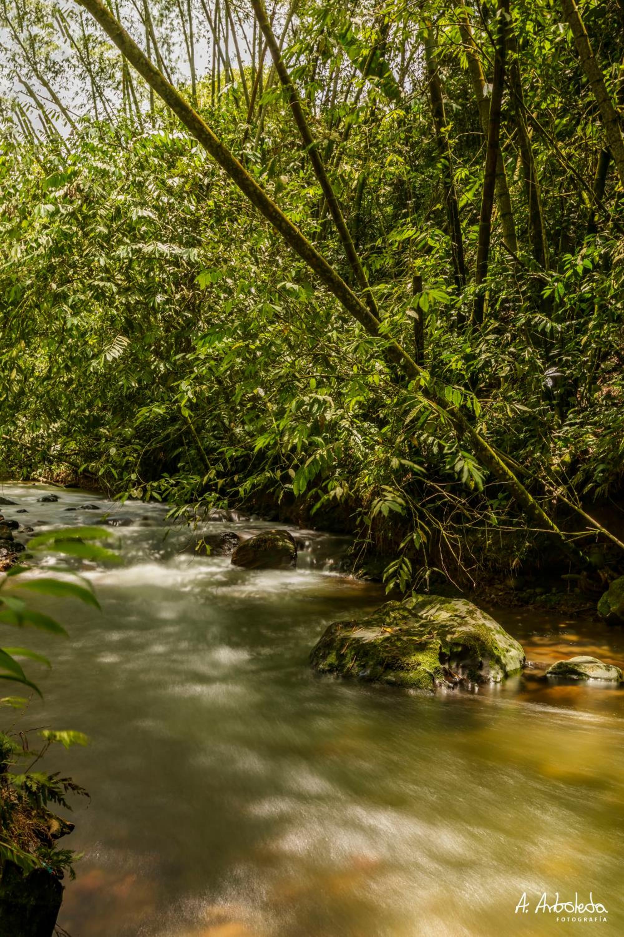 Alojamiento Rural Finca El Rubí - Eje Cafetero