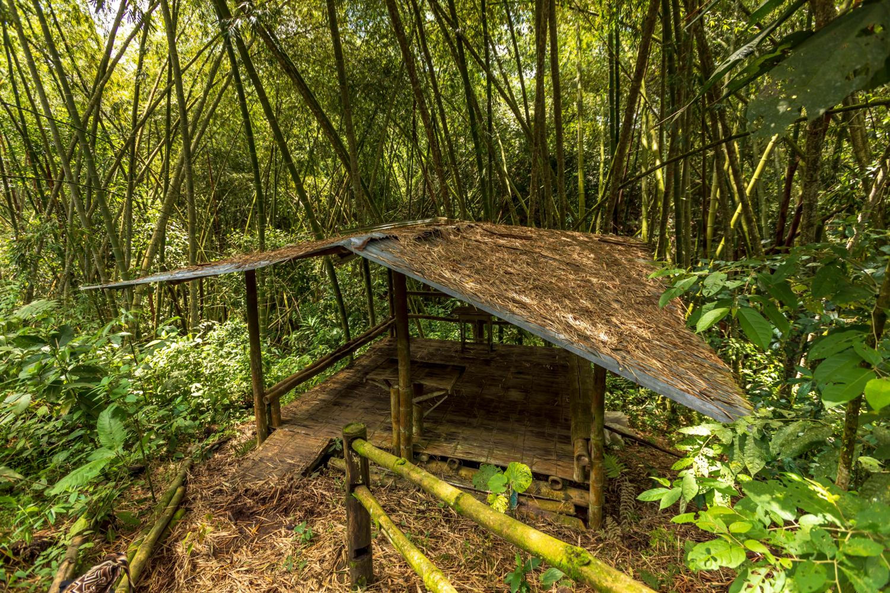 Alojamiento Rural Finca El Rubí - Eje Cafetero