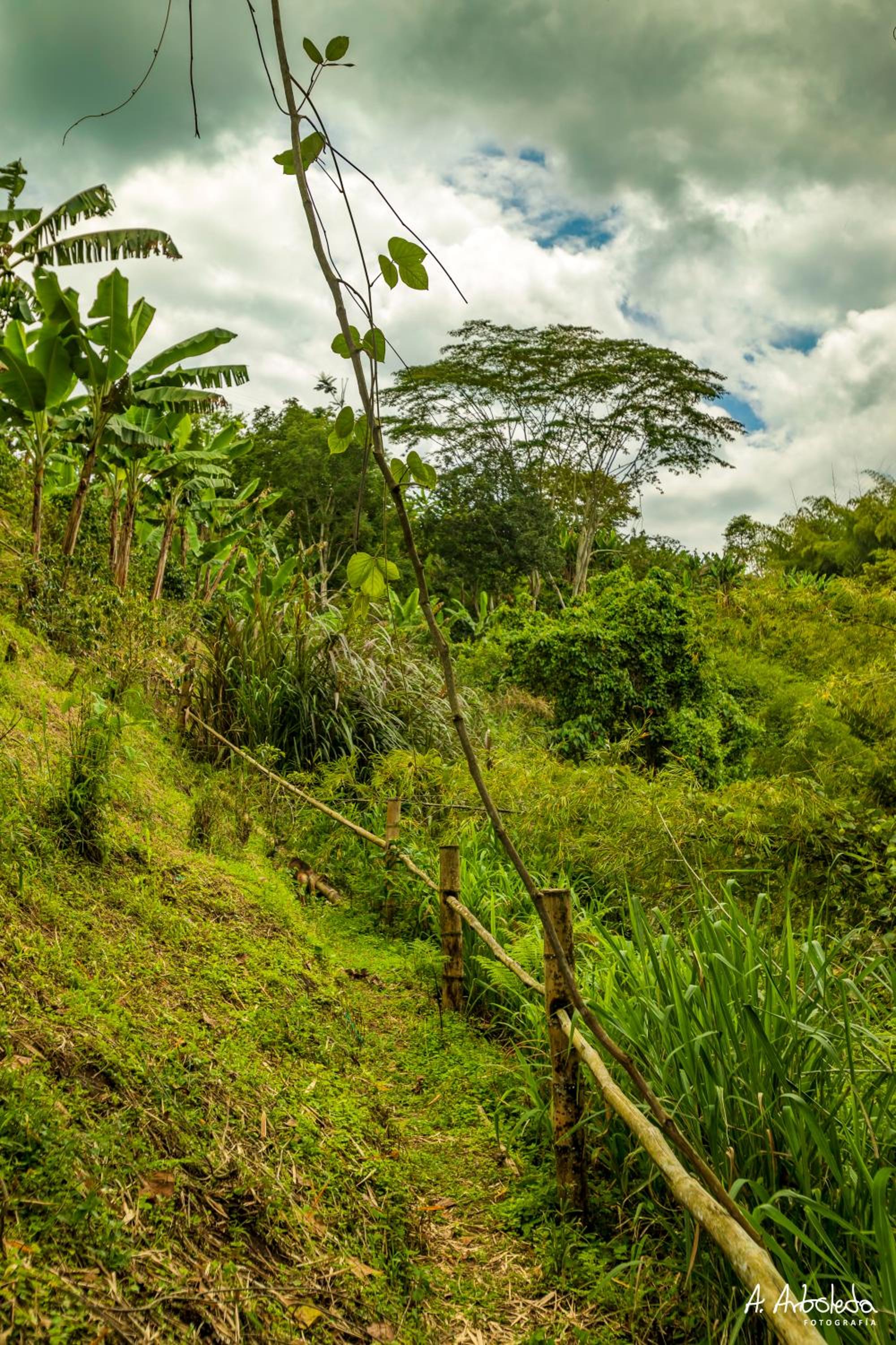 Alojamiento Rural Finca El Rubí - Eje Cafetero