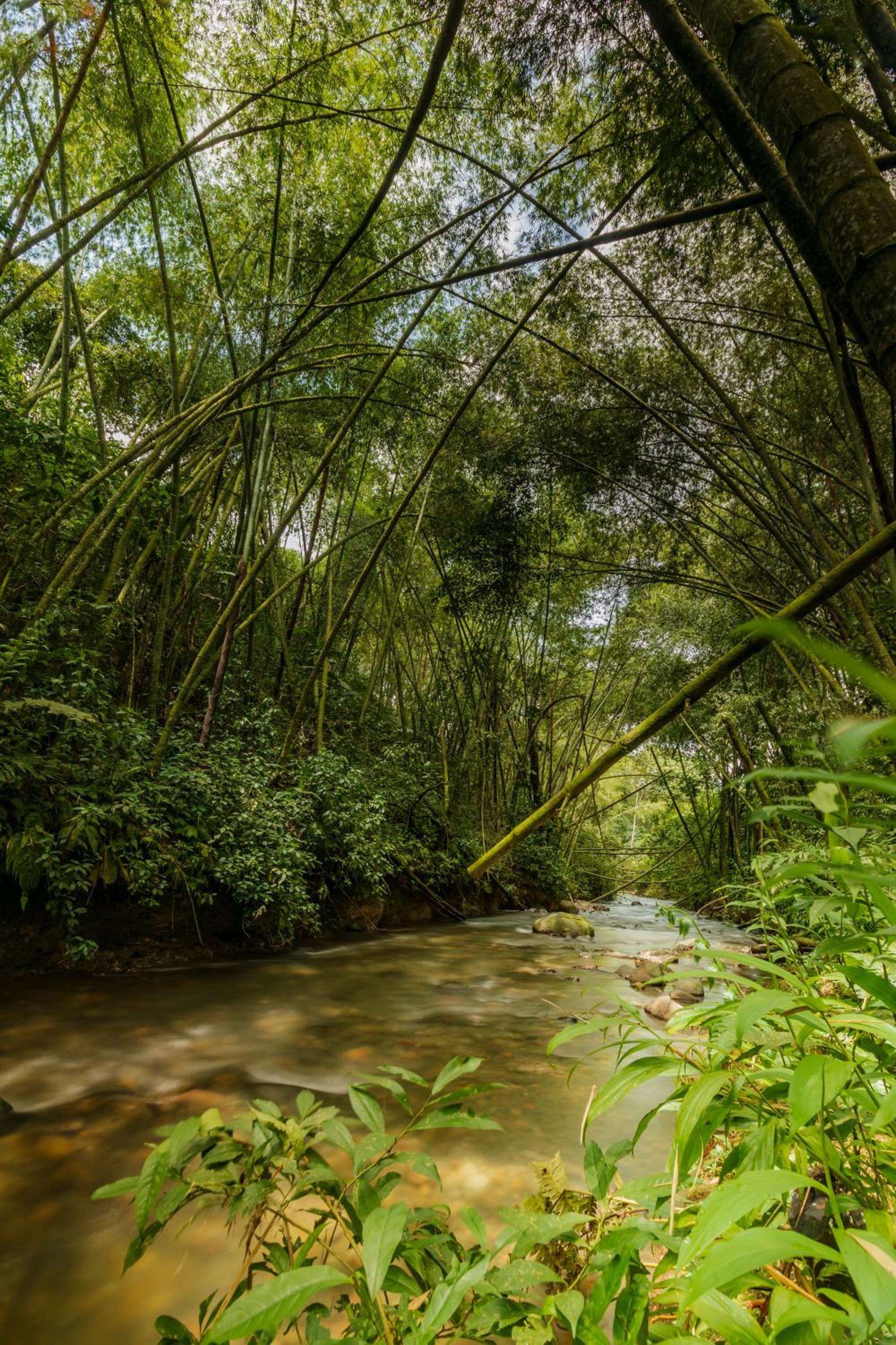 Alojamiento Rural Finca El Rubí - Eje Cafetero