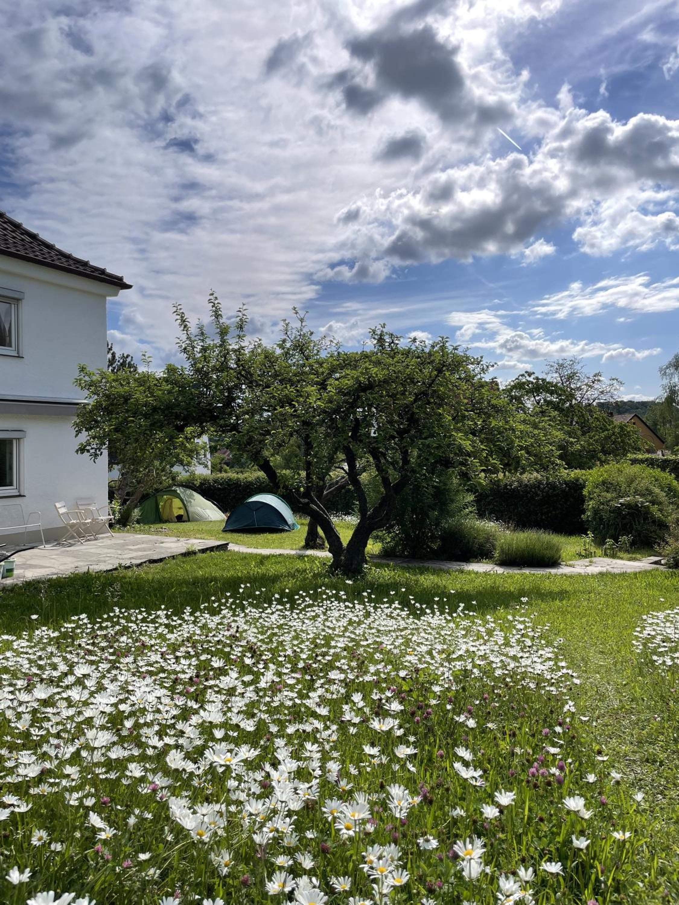 Hofberg Villa