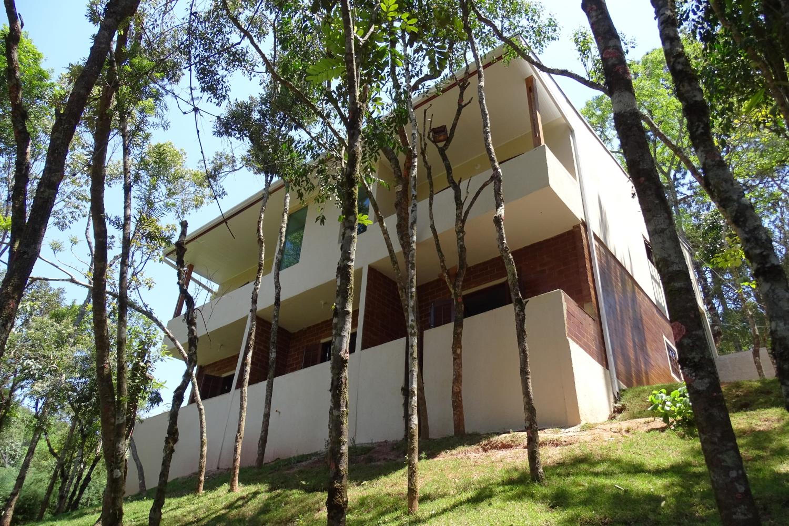 Photo 43