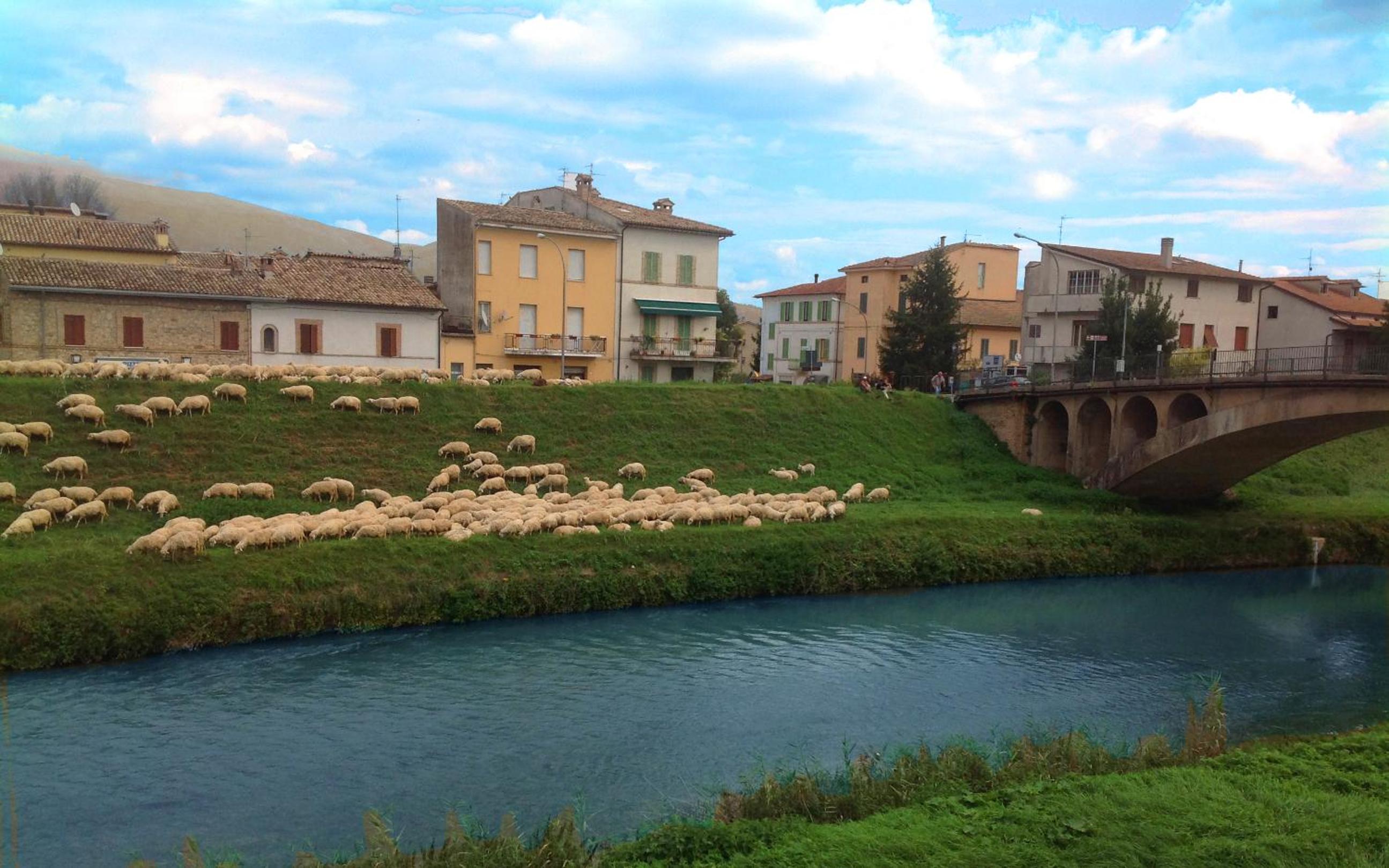Antica Dimora delle Acque view 4