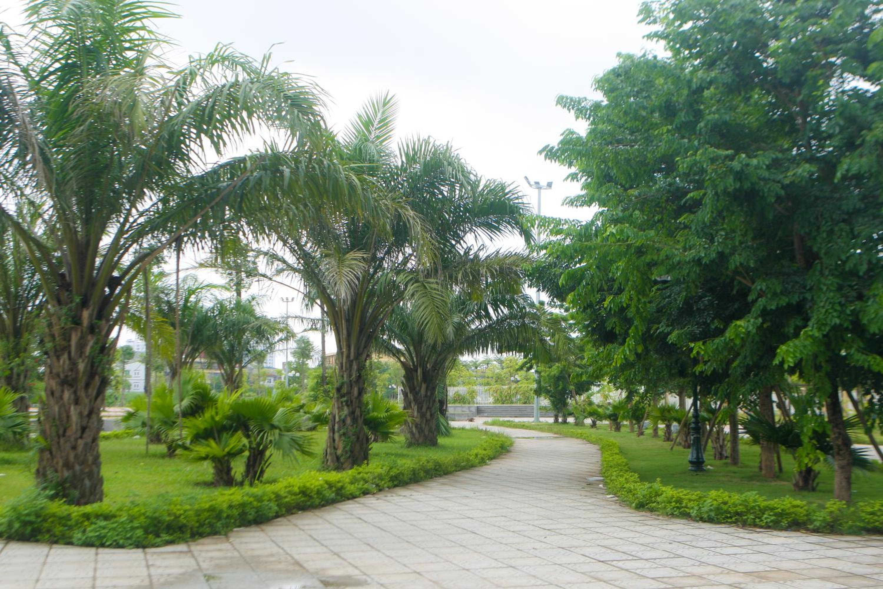 Green Line Long Bien - Serviced Apartment - Ngoc Thuy - Hanoi