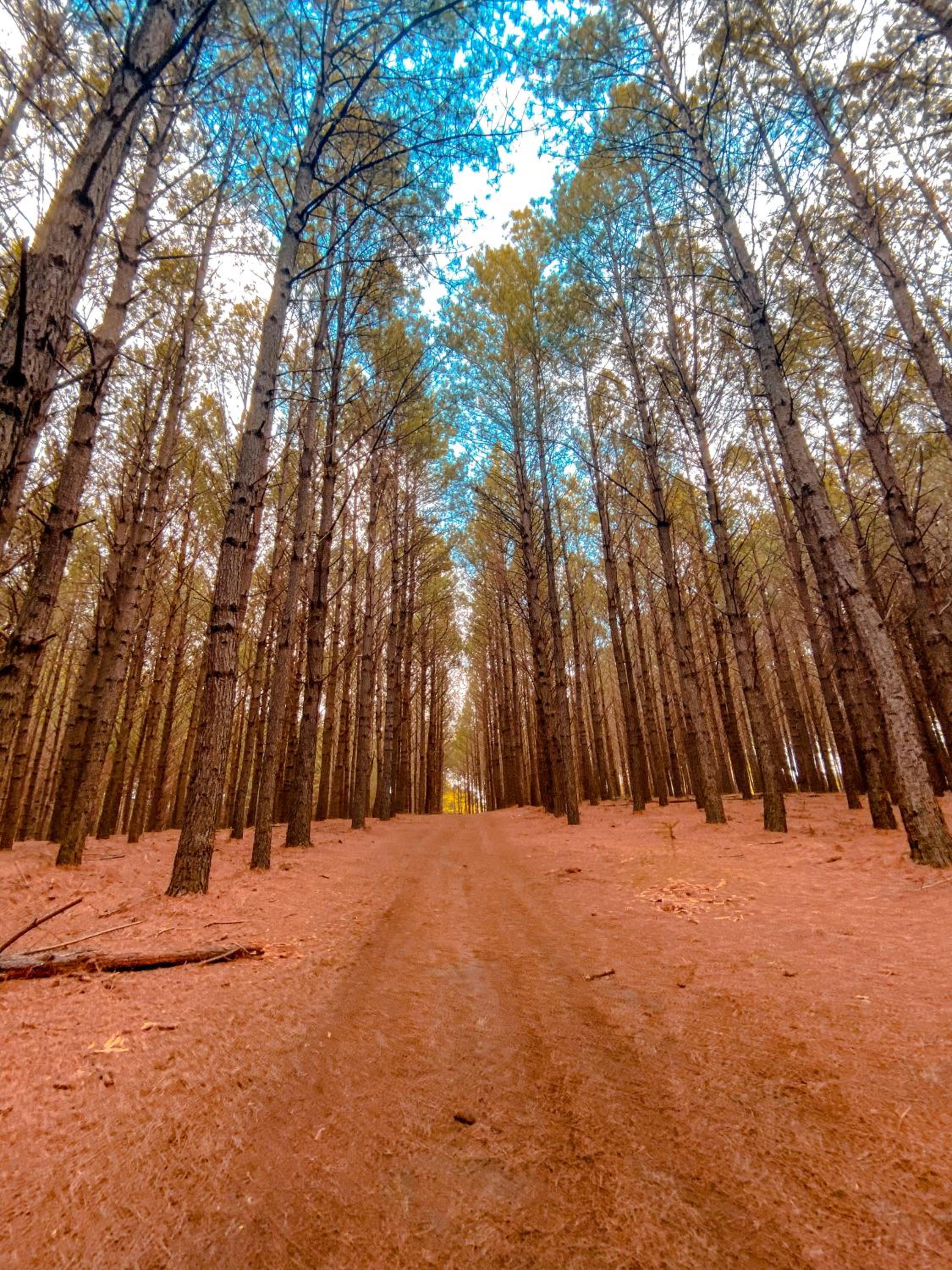 Tedesco Eco Park